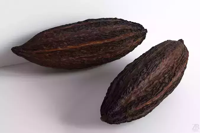 Cocoa Pod