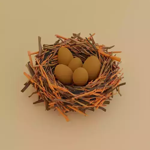 nest with eggs