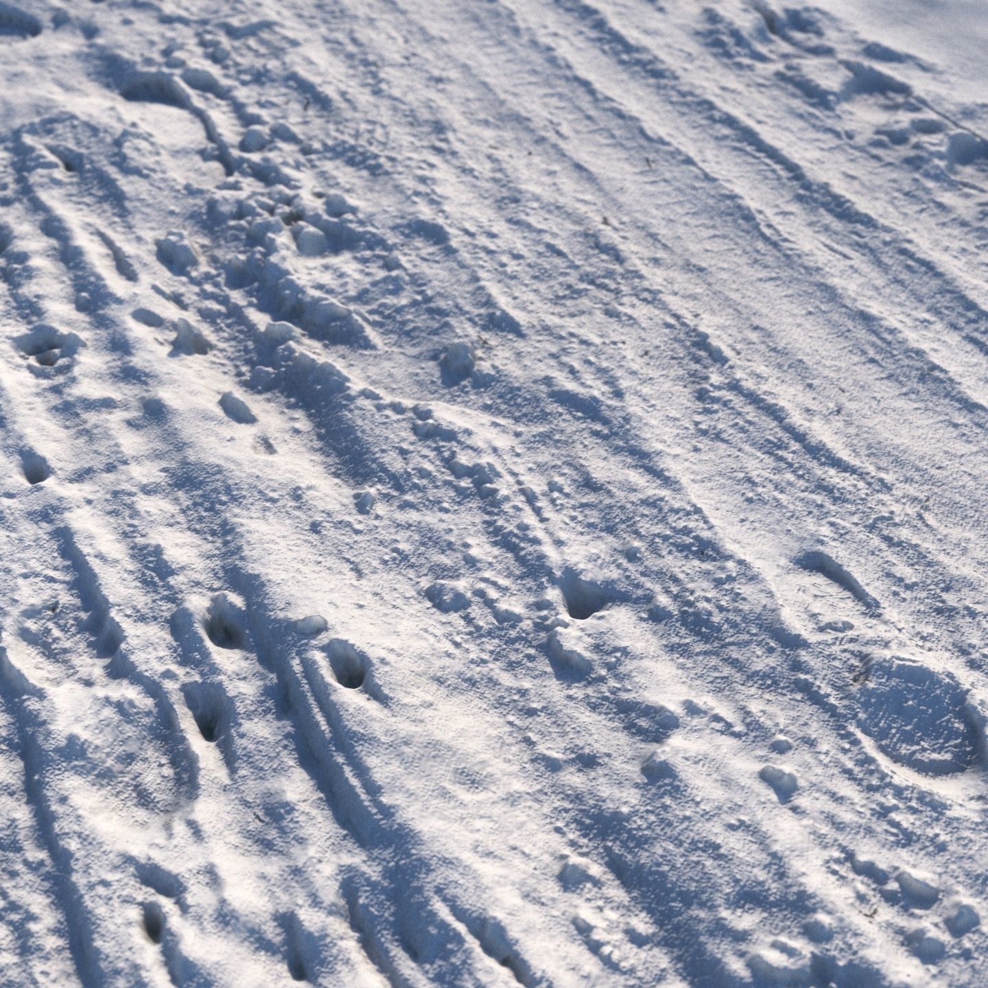 Winter single lane road 04 12 meters 3D model_4