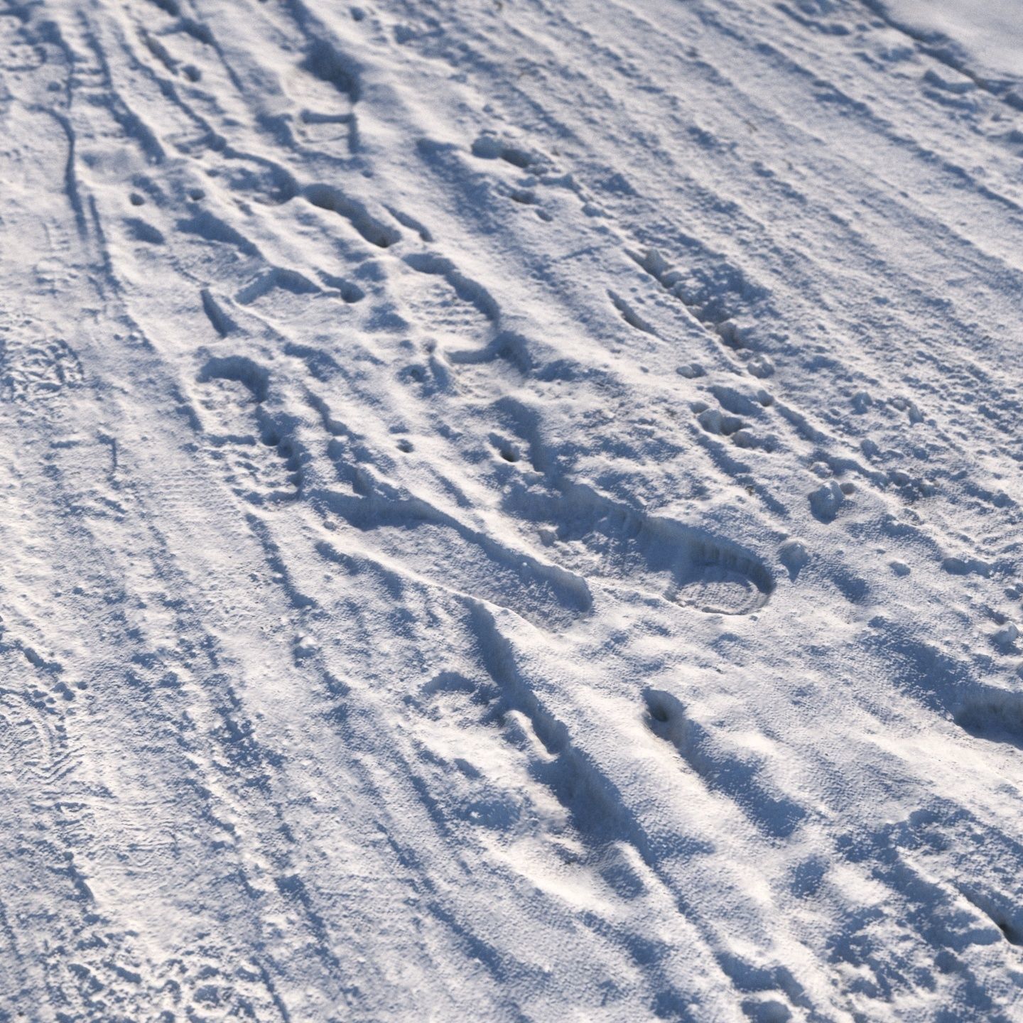 Winter single lane road 04 12 meters 3D model_6