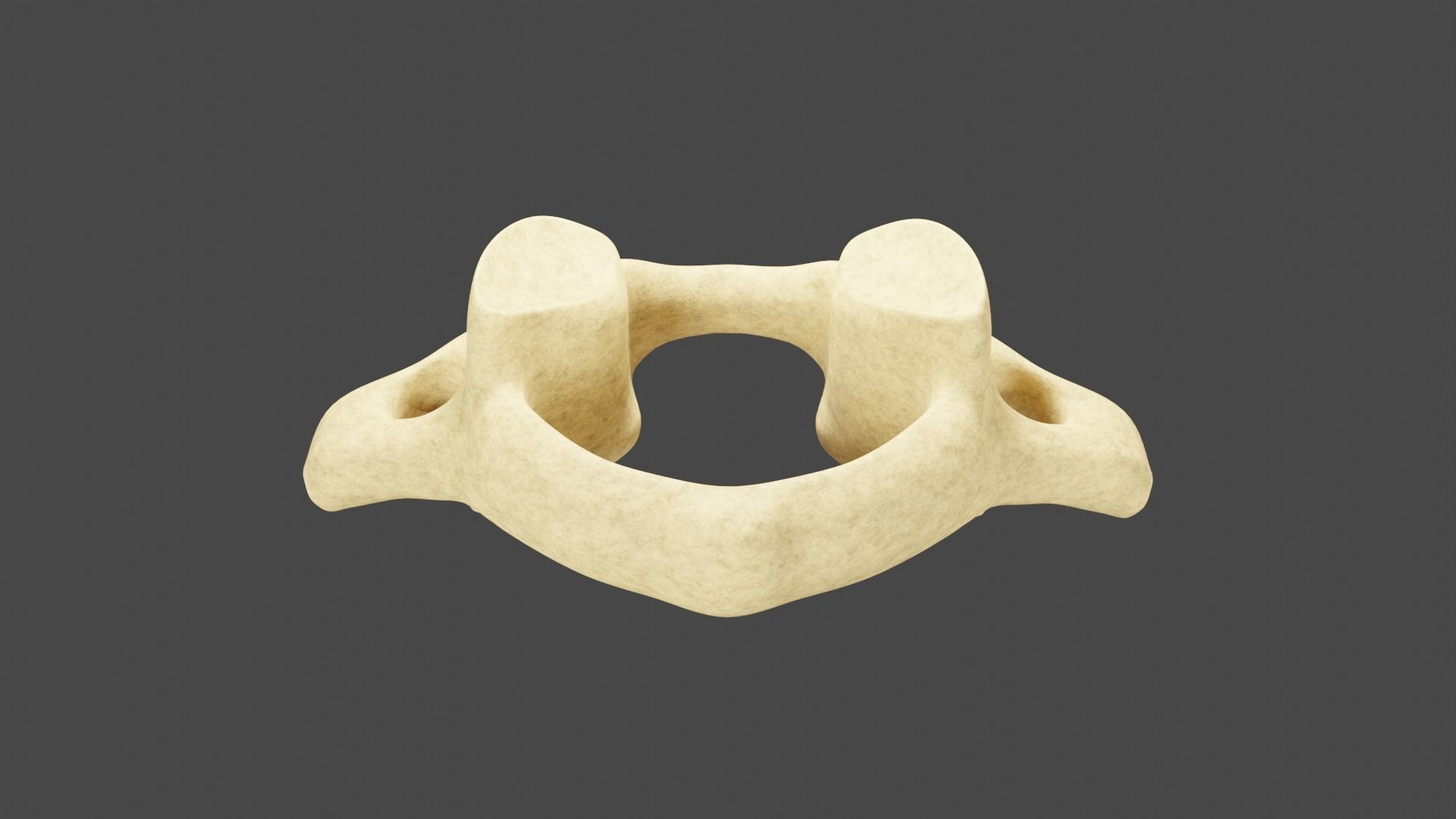 The First Cervical Vertebra 3D model_1