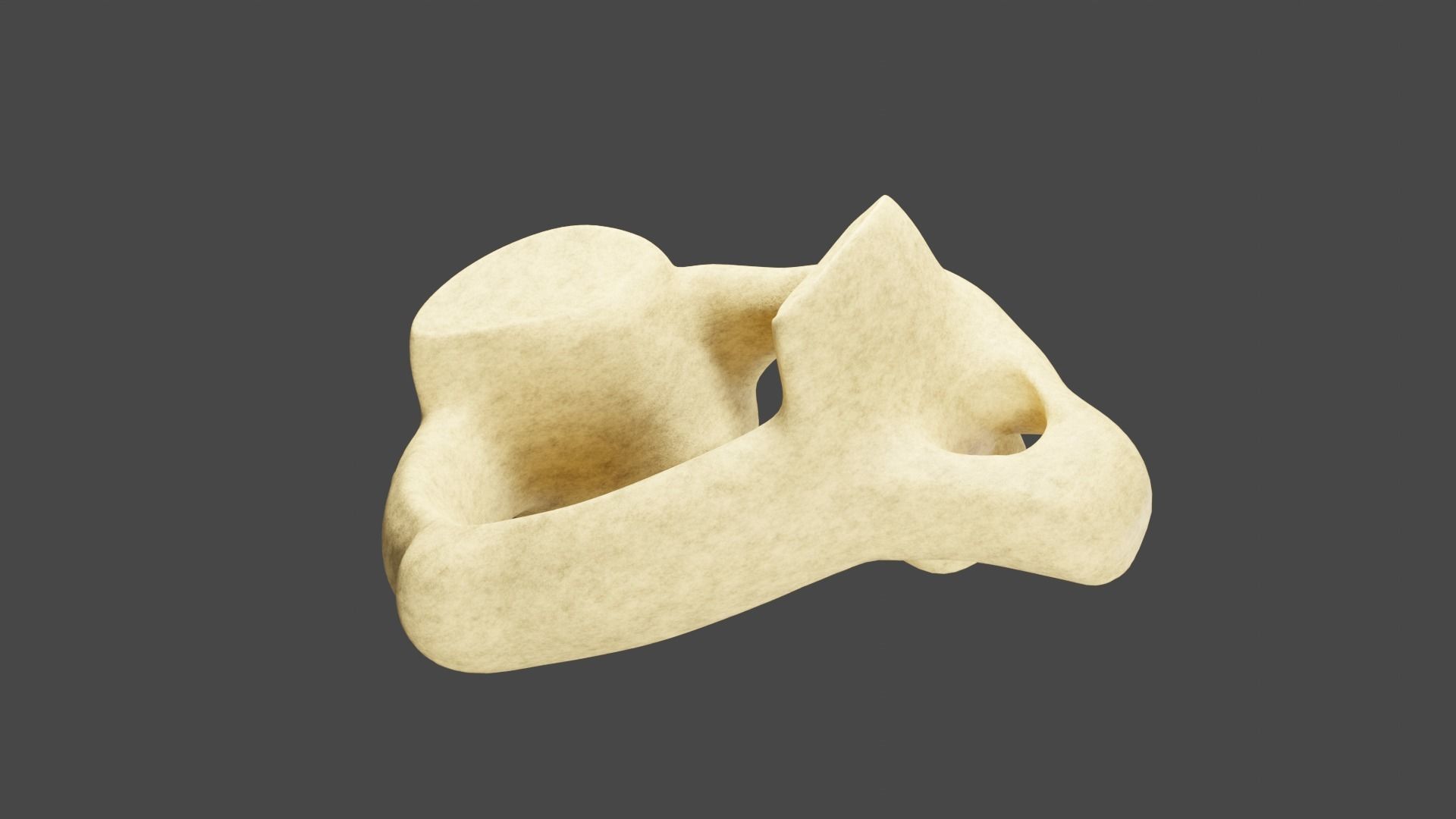 The First Cervical Vertebra 3D model_5