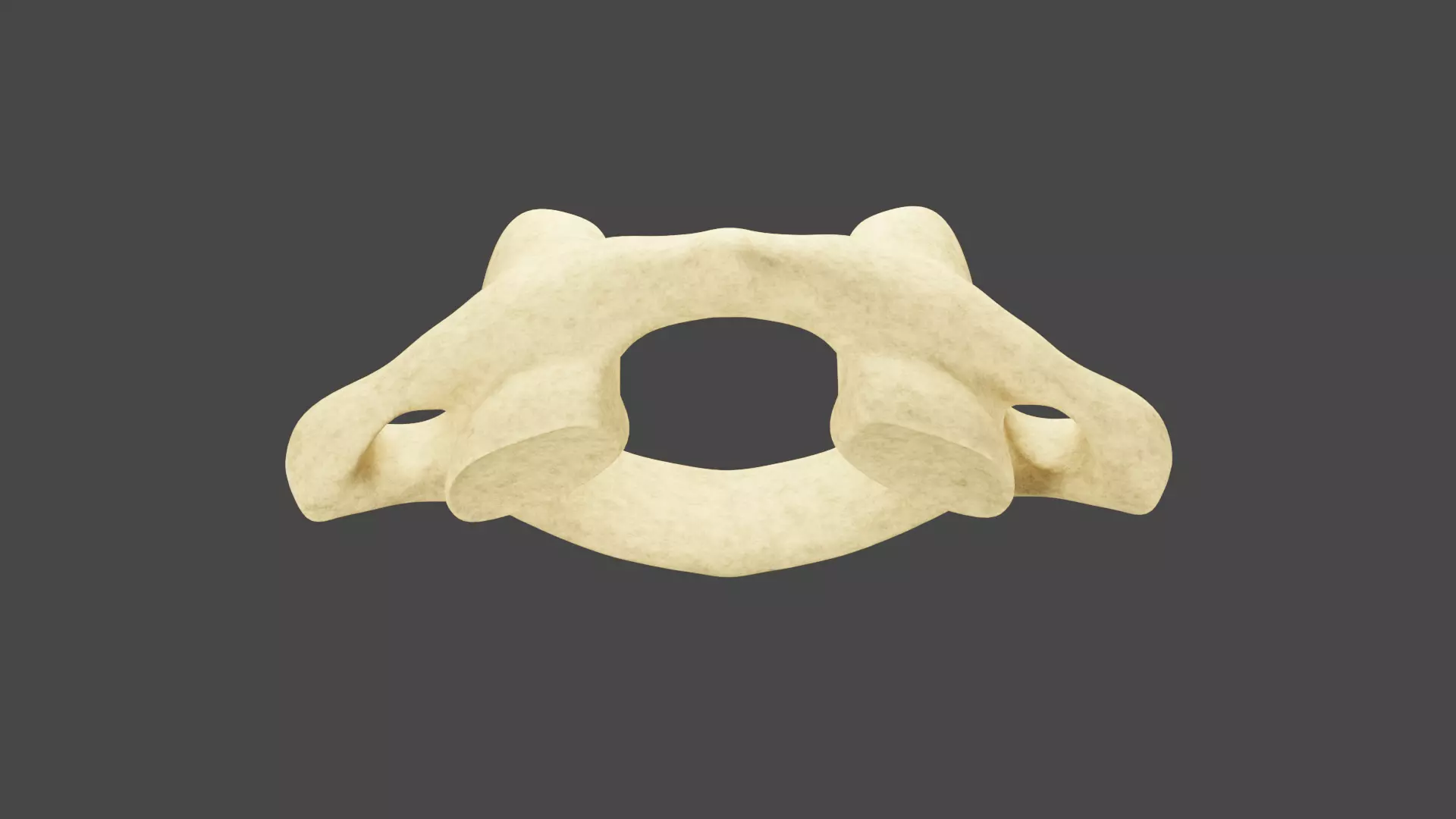 The First Cervical Vertebra 3D model_0
