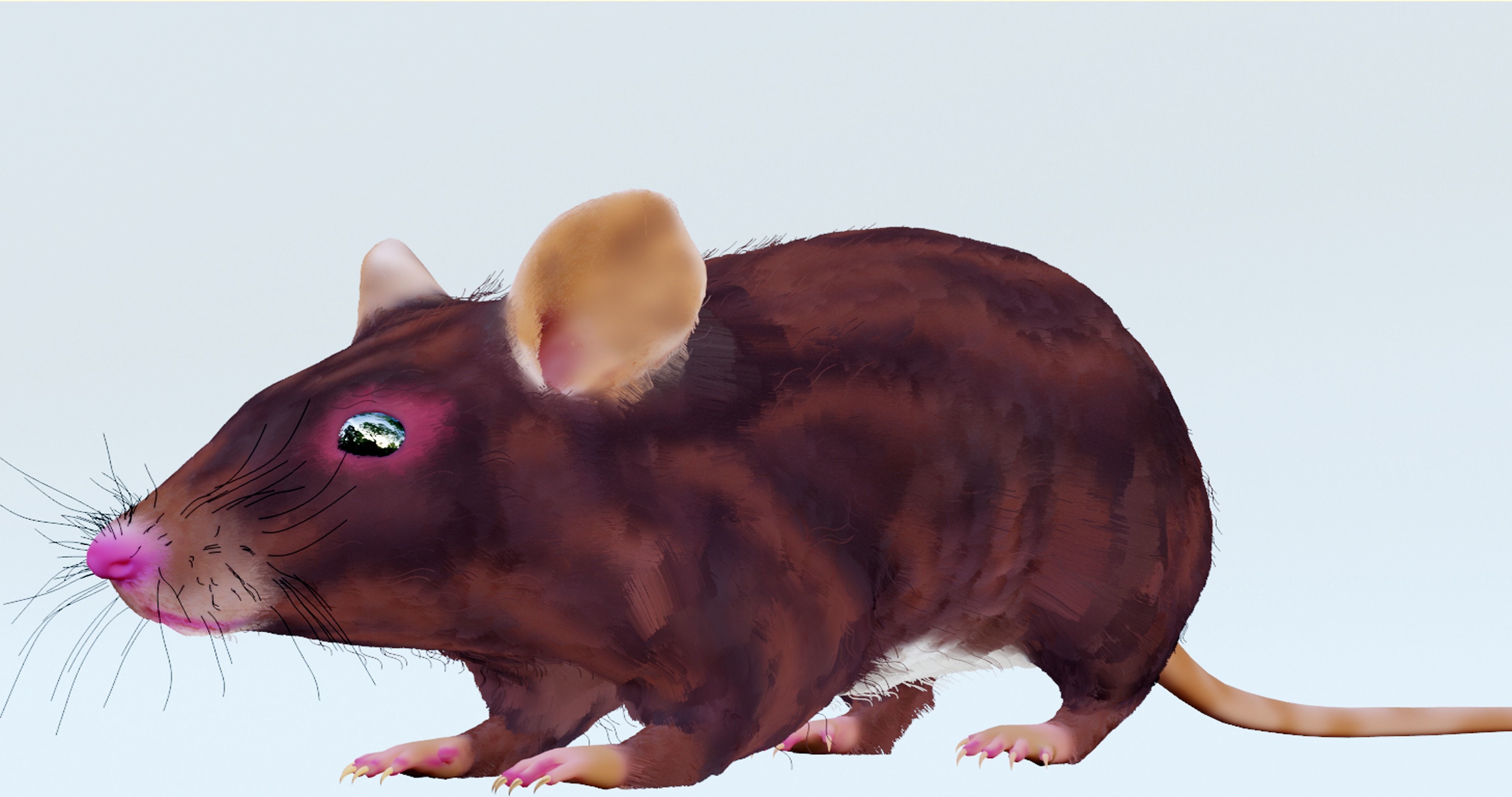 Realistic Mouse rat Low-poly 3D model_2