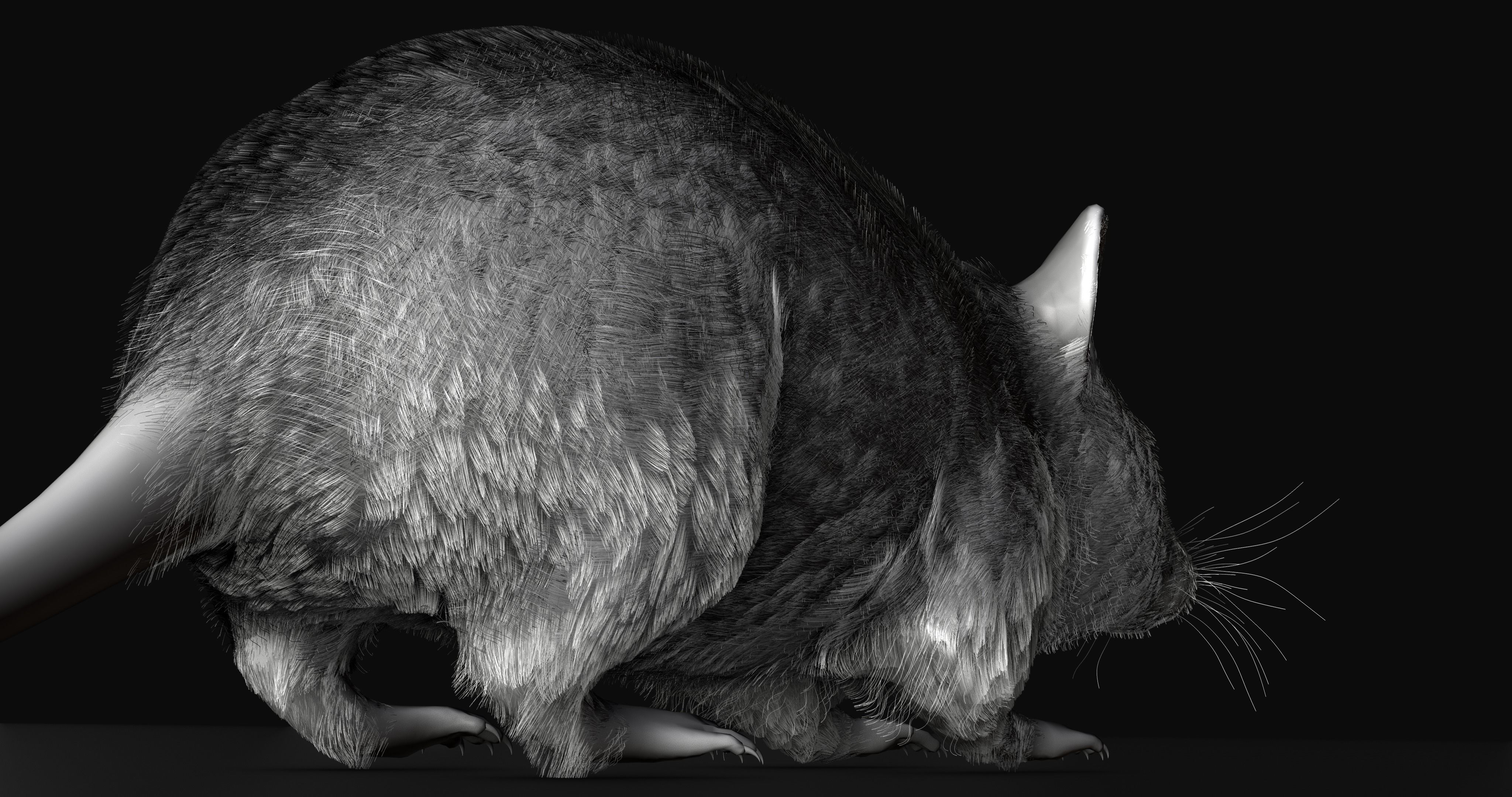 Realistic Mouse rat Low-poly 3D model_7