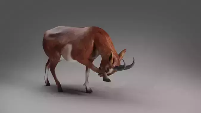Goat 04 Rigged and Animation