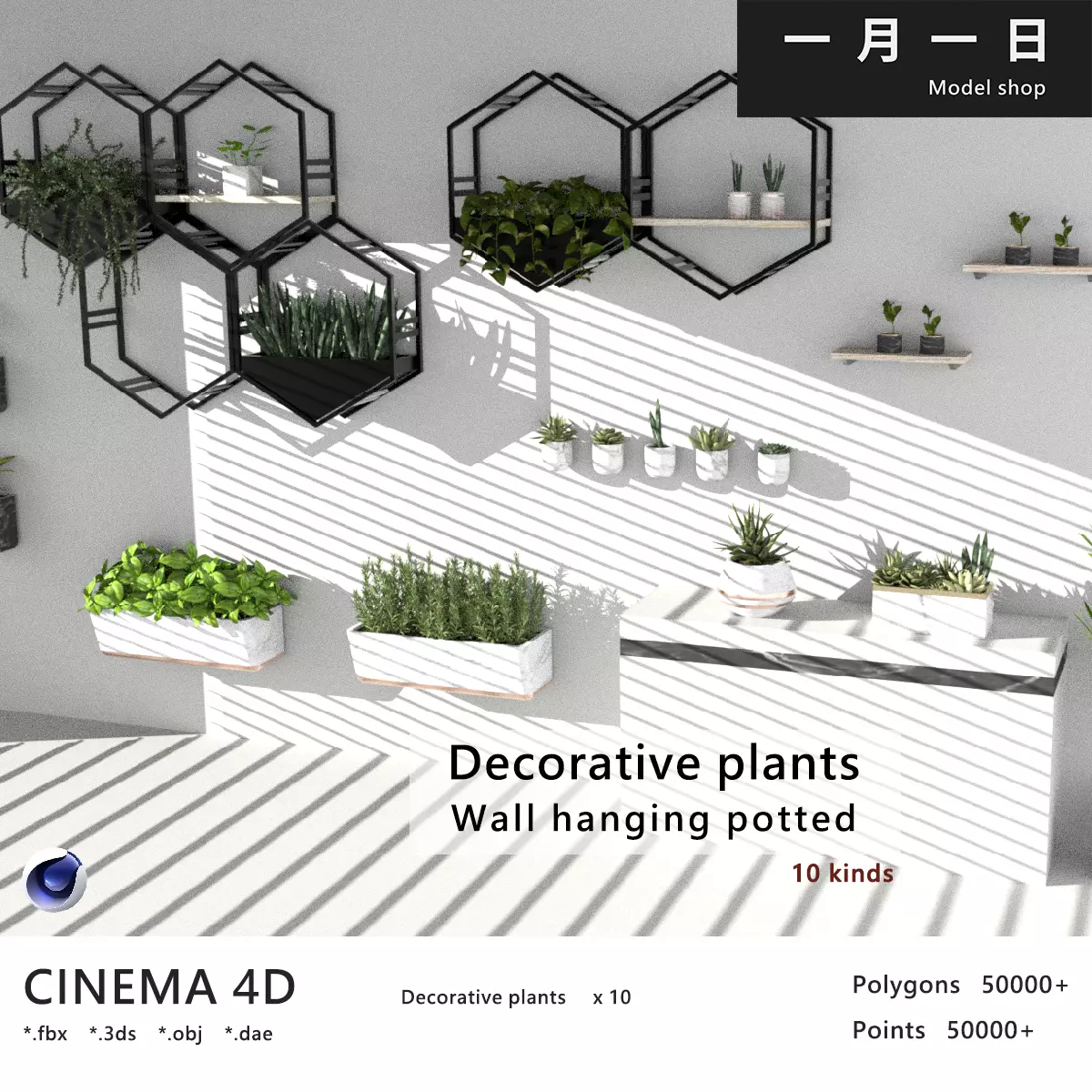 Wall hanging potted Low-poly 3D model_0