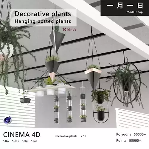 Hanging potted plants