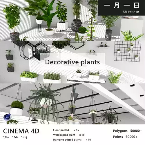 Decorative plant compilation
