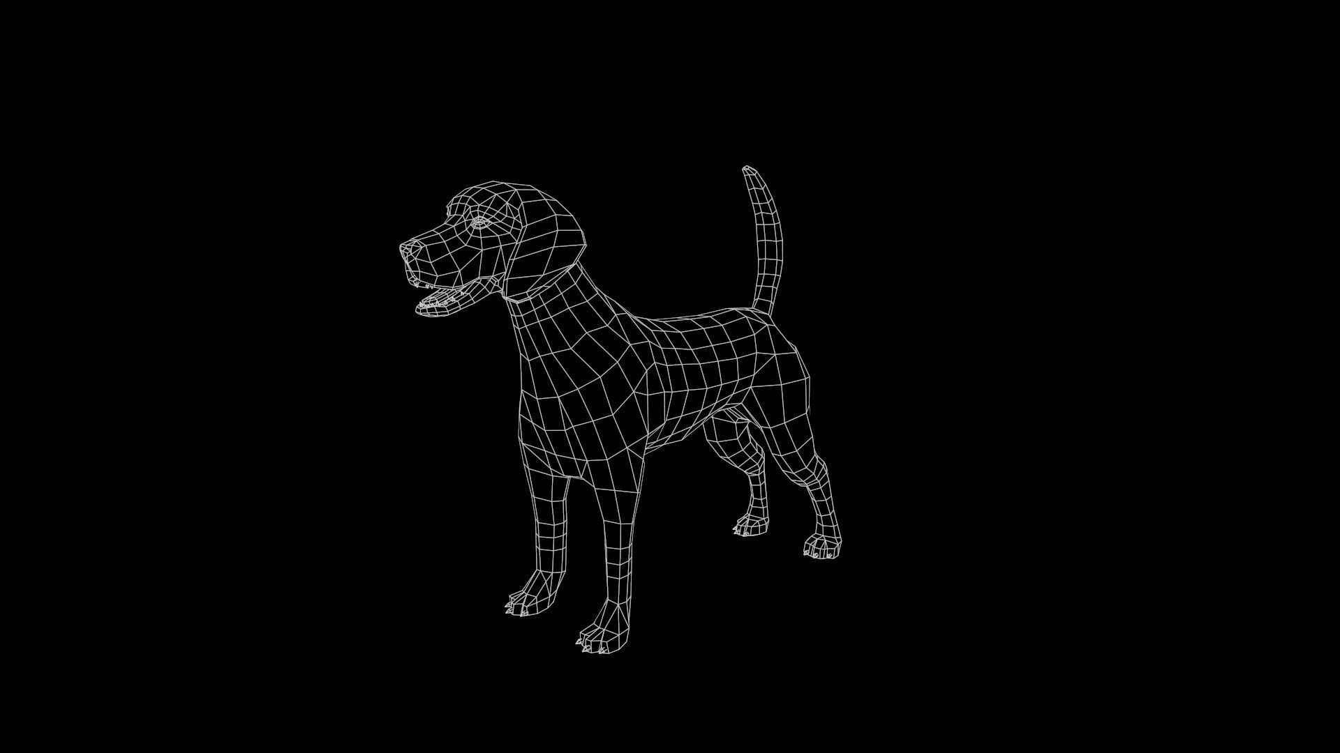 Beagle Dog Low-poly 3D model_21