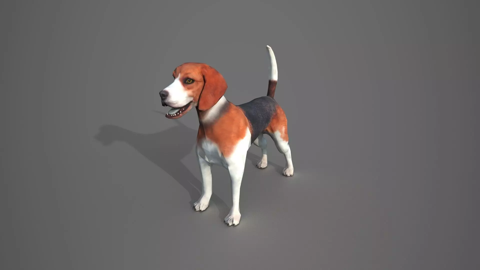 Beagle Dog Low-poly 3D model_0