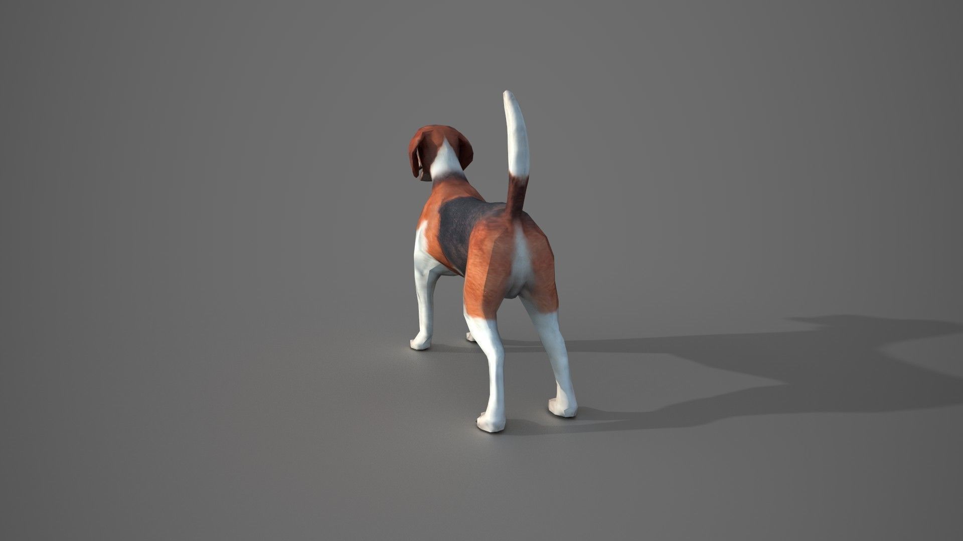 Beagle Dog Low-poly 3D model_6