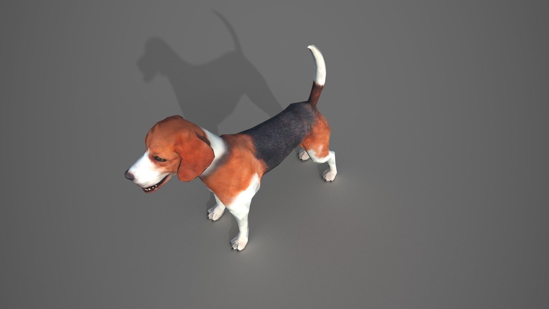 Beagle Dog Low-poly 3D model_14