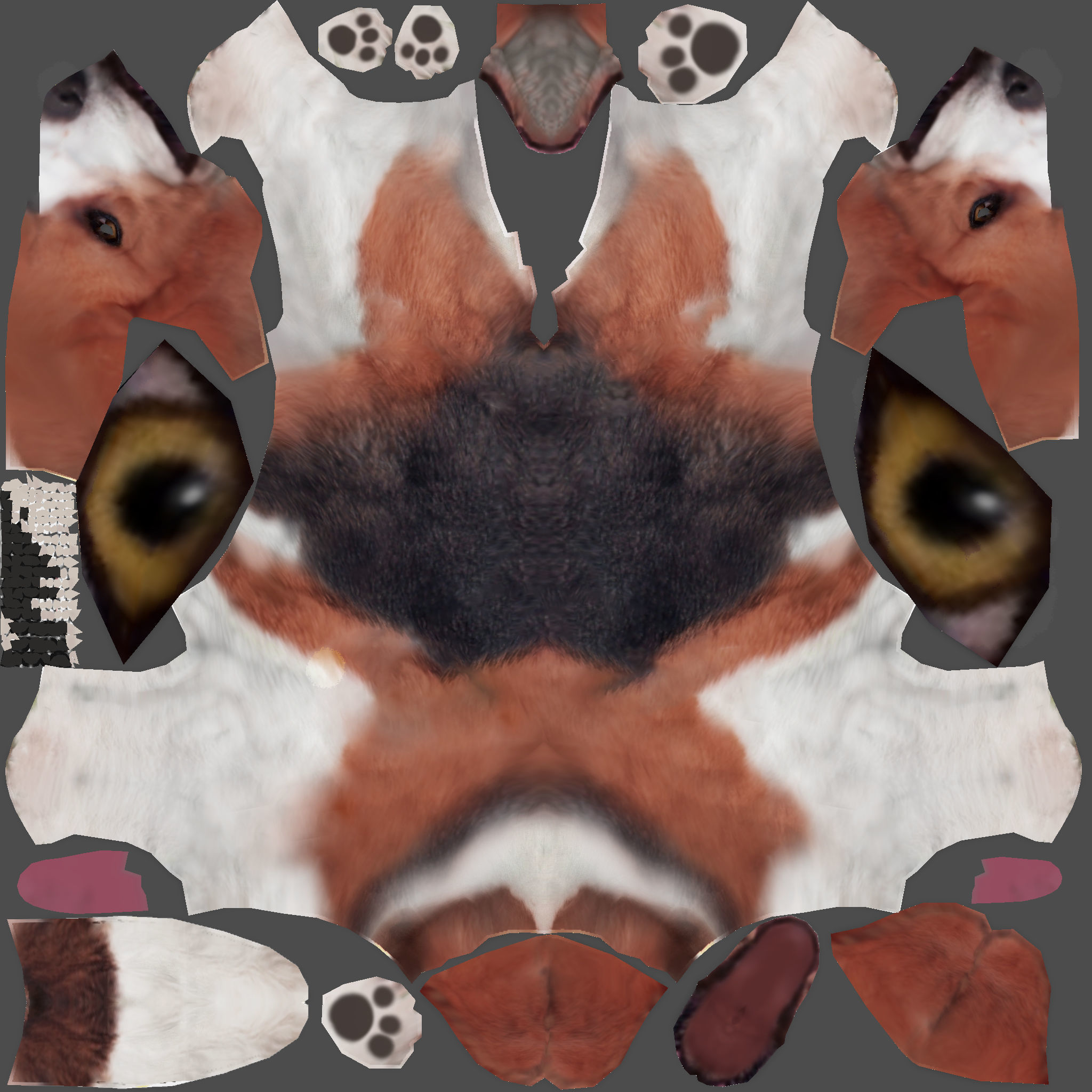 Beagle Dog Low-poly 3D model_23