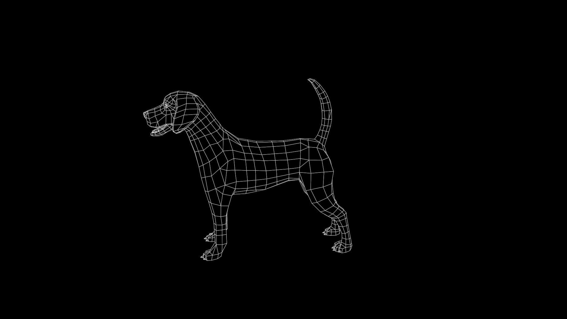 Beagle Dog Low-poly 3D model_20