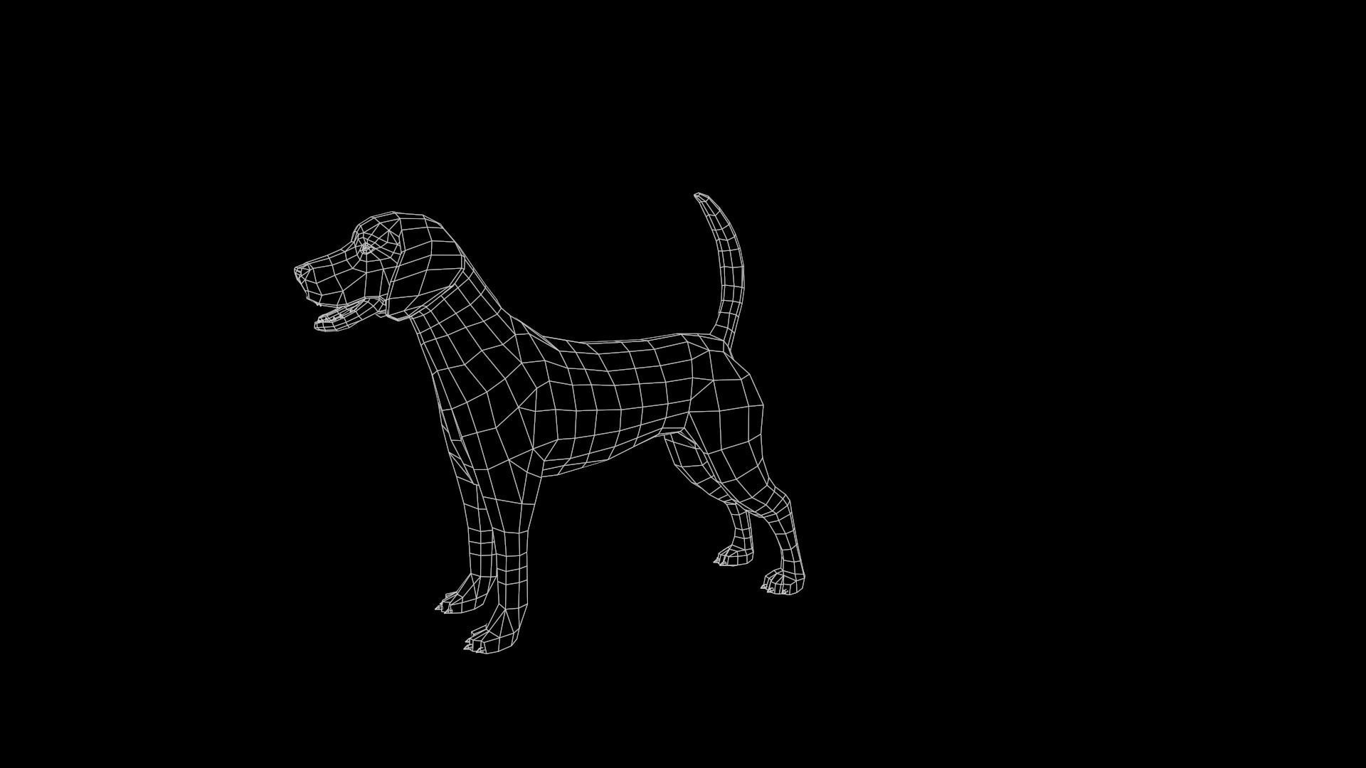 Beagle Dog Low-poly 3D model_22