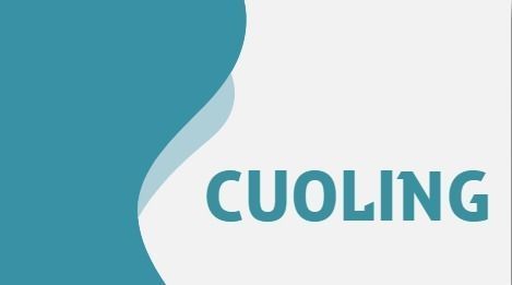Cuoling Cool Prestige 350 3D model_2