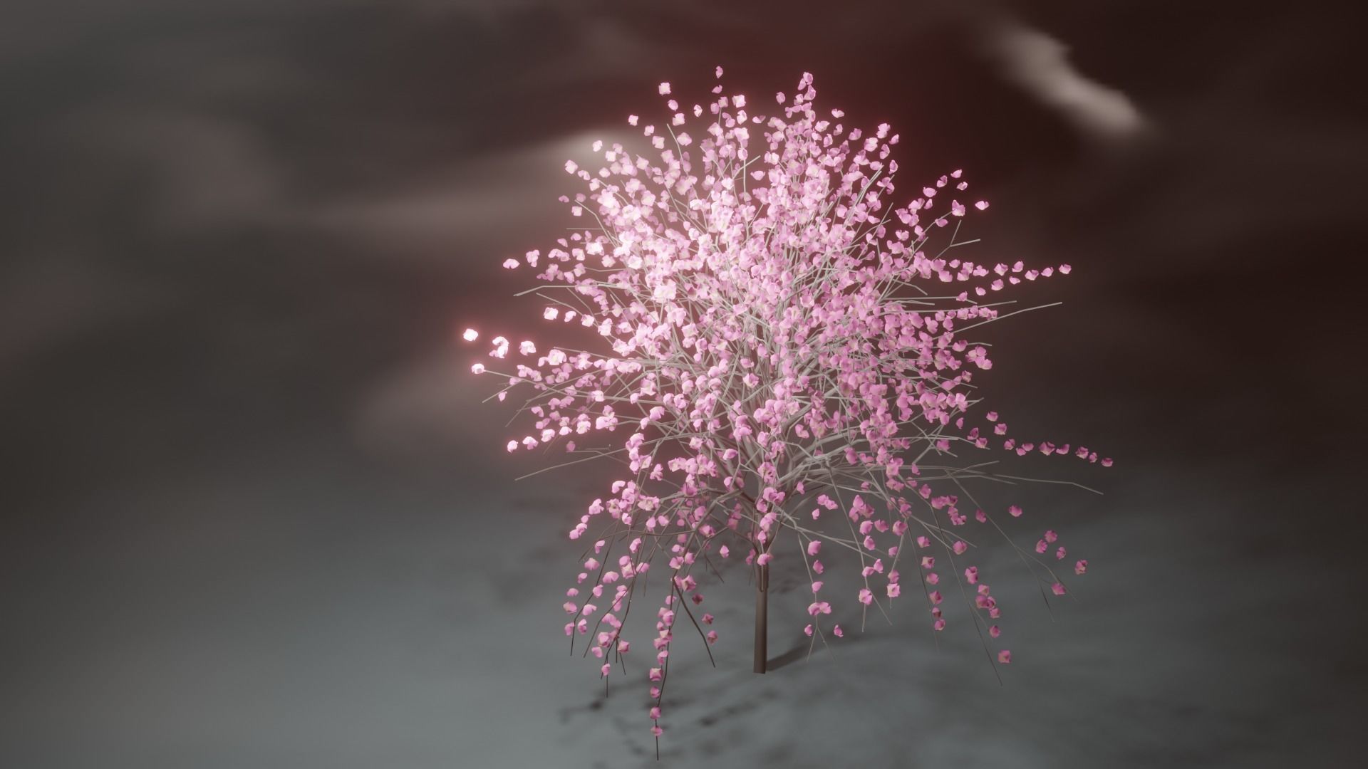 Model Japan Sakura Tree  Free 3D model_3