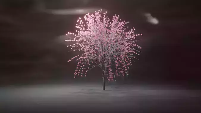 Model Japan Sakura Tree  Free 3D model