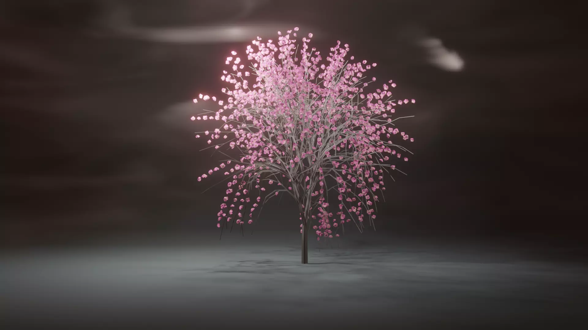 Model Japan Sakura Tree  Free 3D model_0