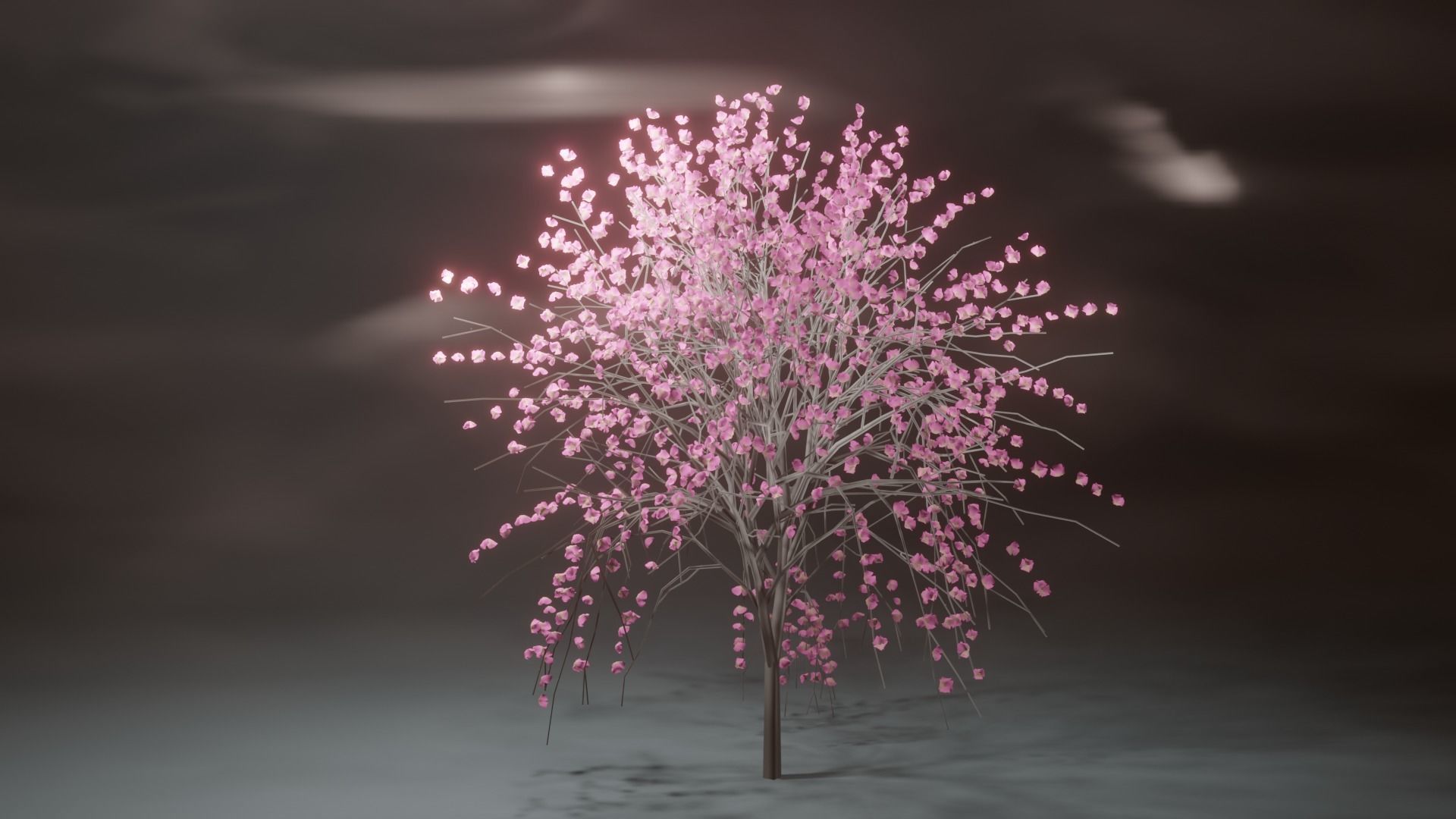 Model Japan Sakura Tree  Free 3D model_2
