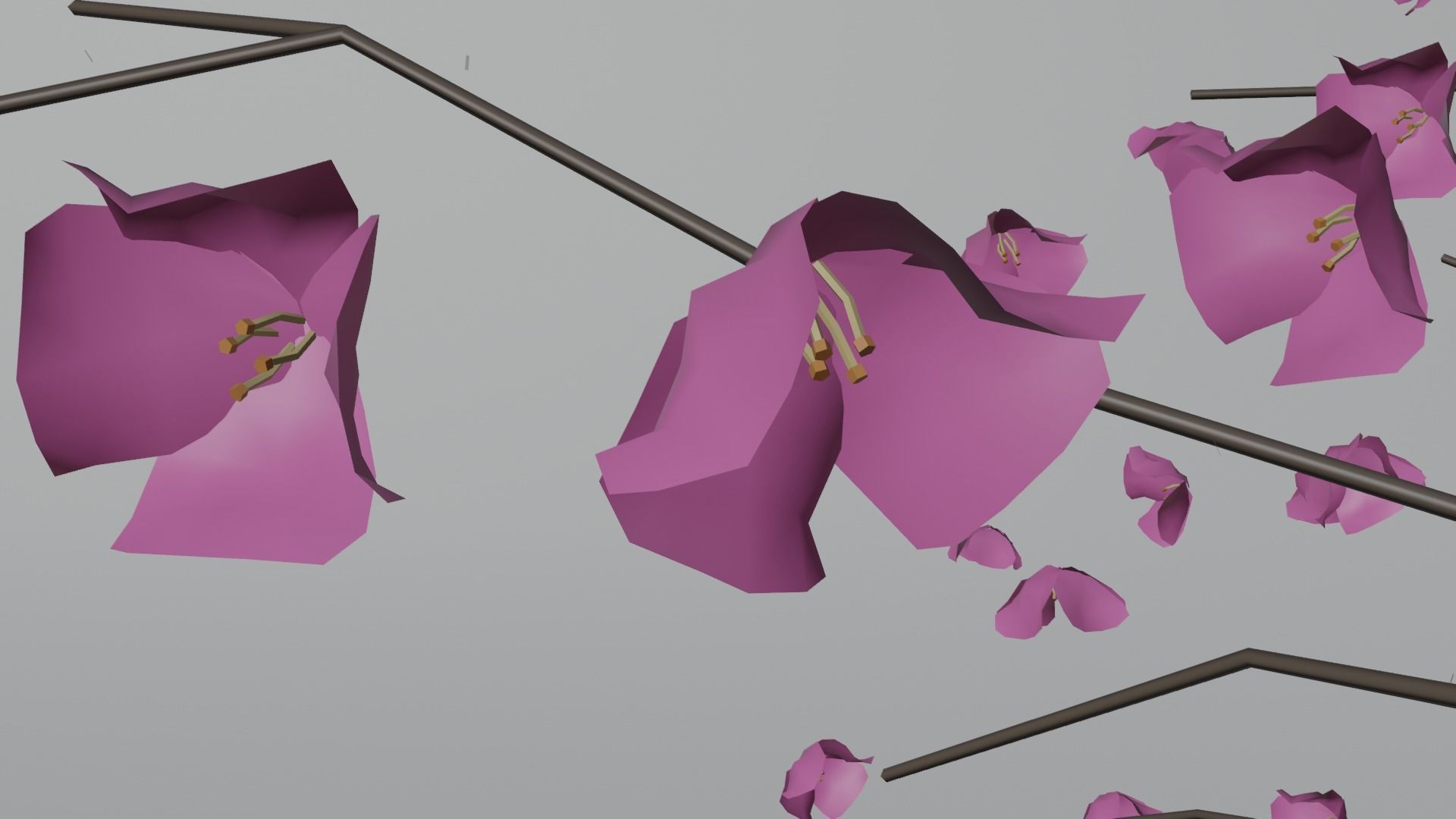 Model Japan Sakura Tree  Free 3D model_10