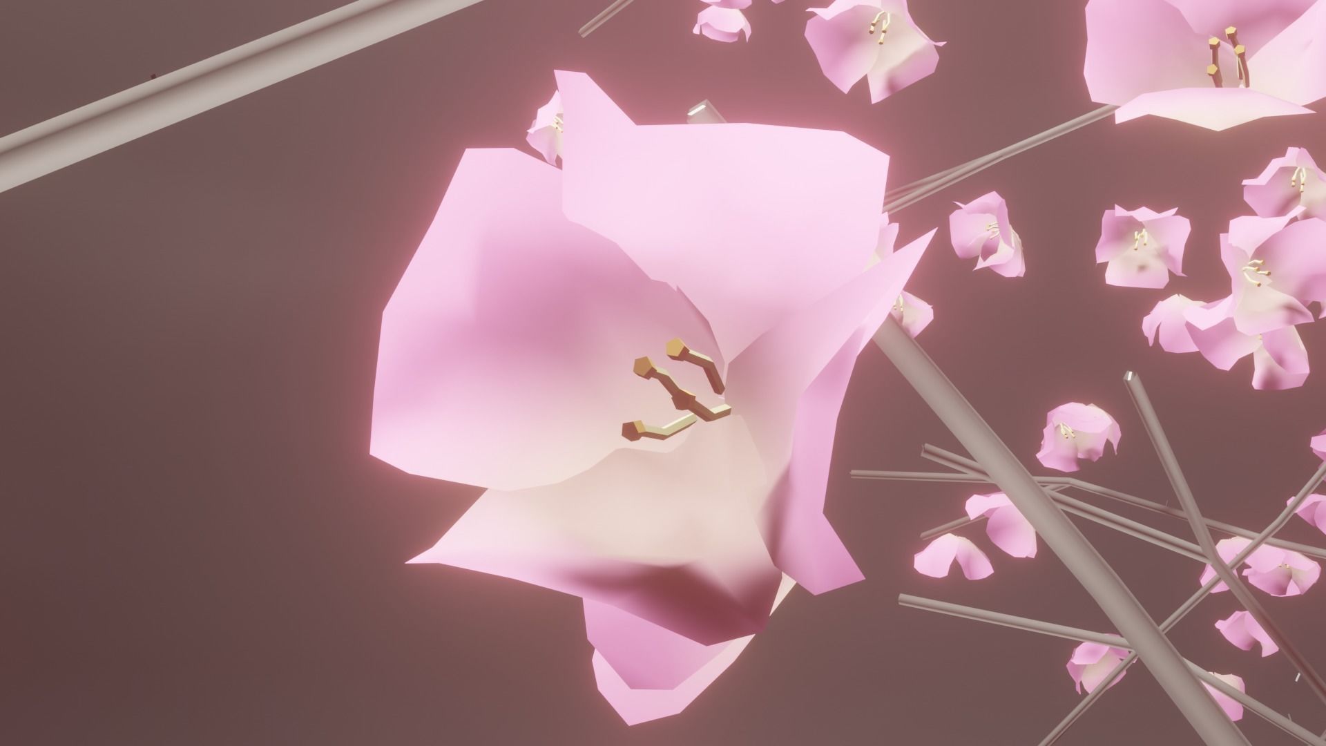 Model Japan Sakura Tree  Free 3D model_7