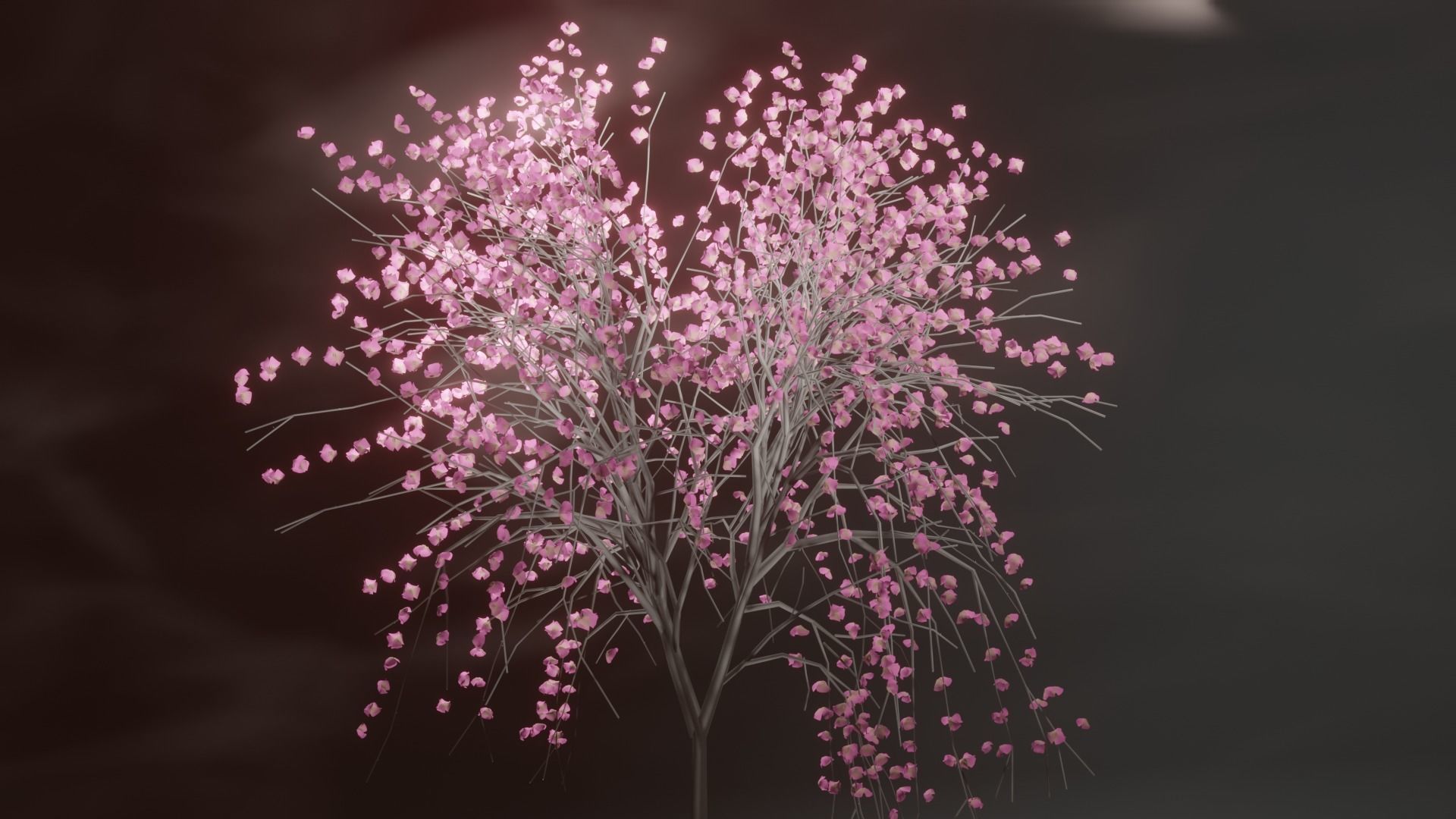 Model Japan Sakura Tree  Free 3D model_4