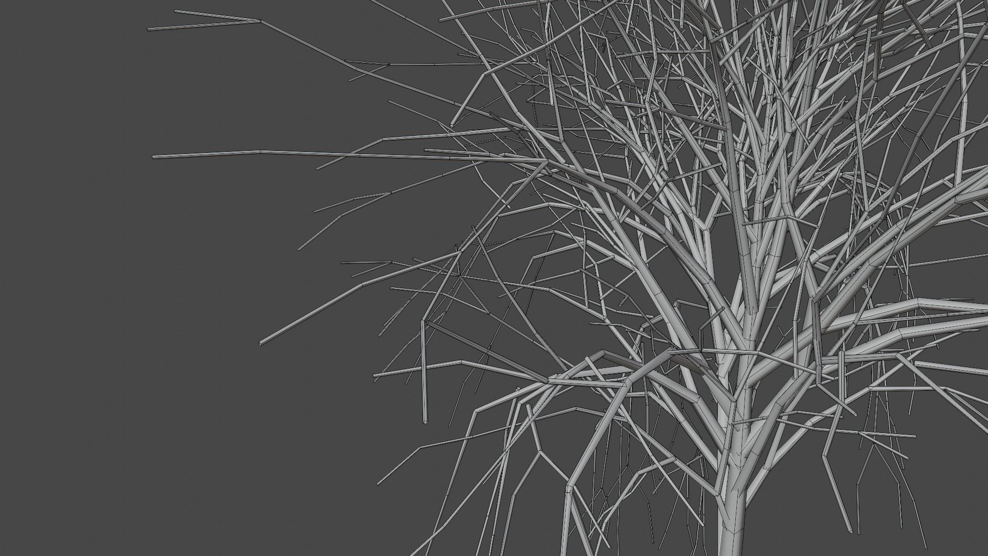 Model Japan Sakura Tree  Free 3D model_12