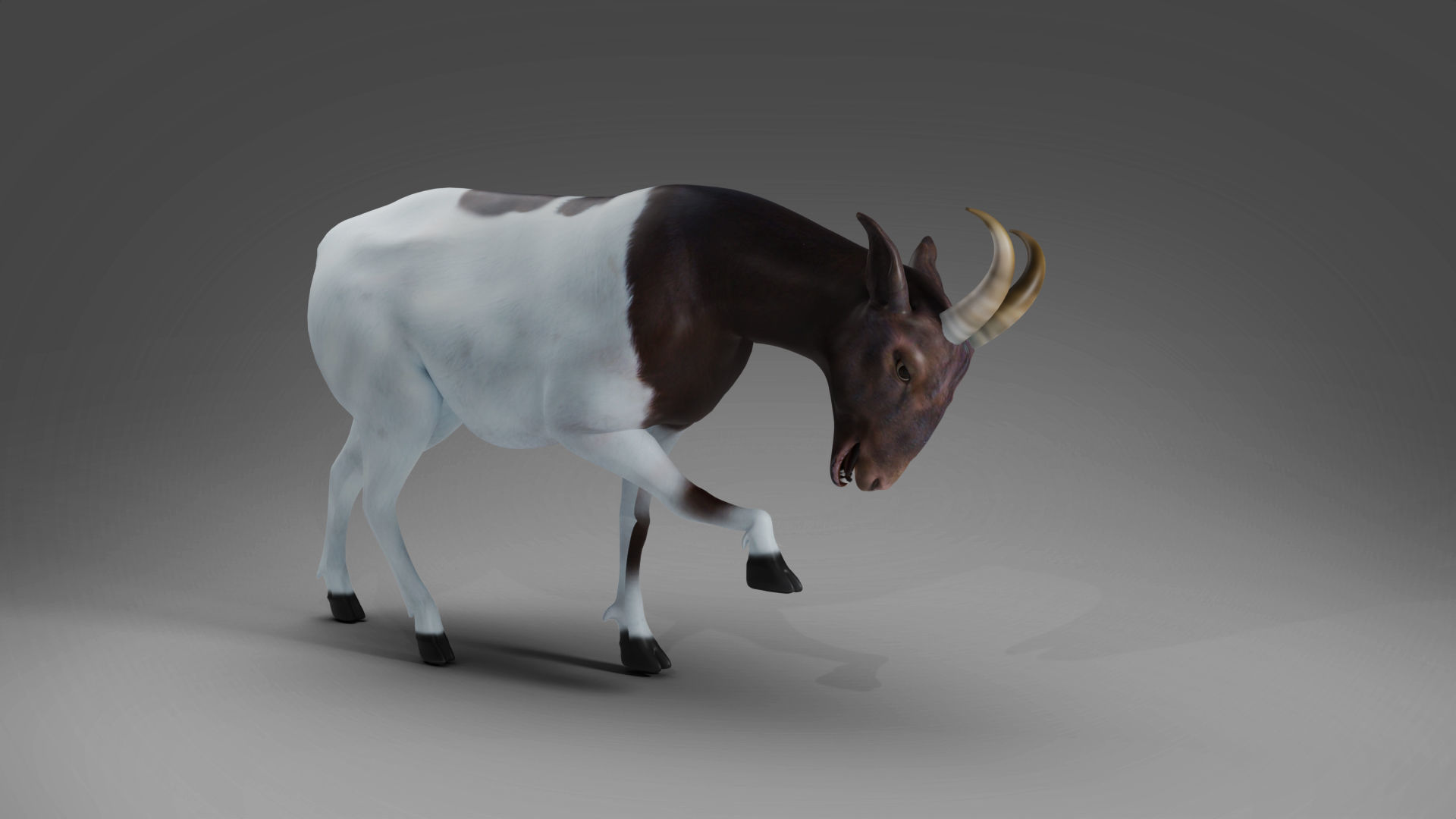 3D Goat 03 Rigged in Blender Low-poly 3D model_2