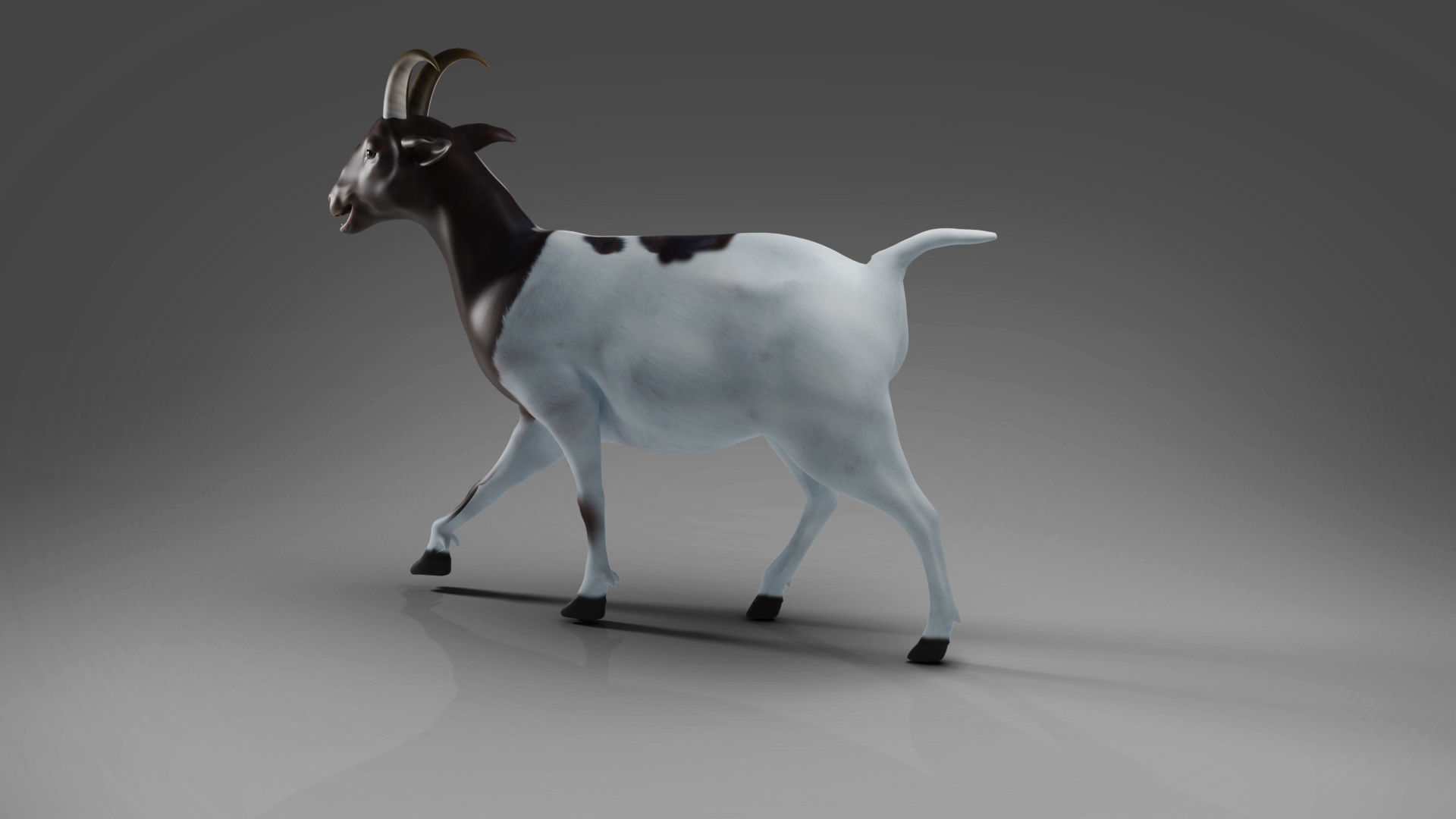 3D Goat 03 Rigged in Blender Low-poly 3D model_3