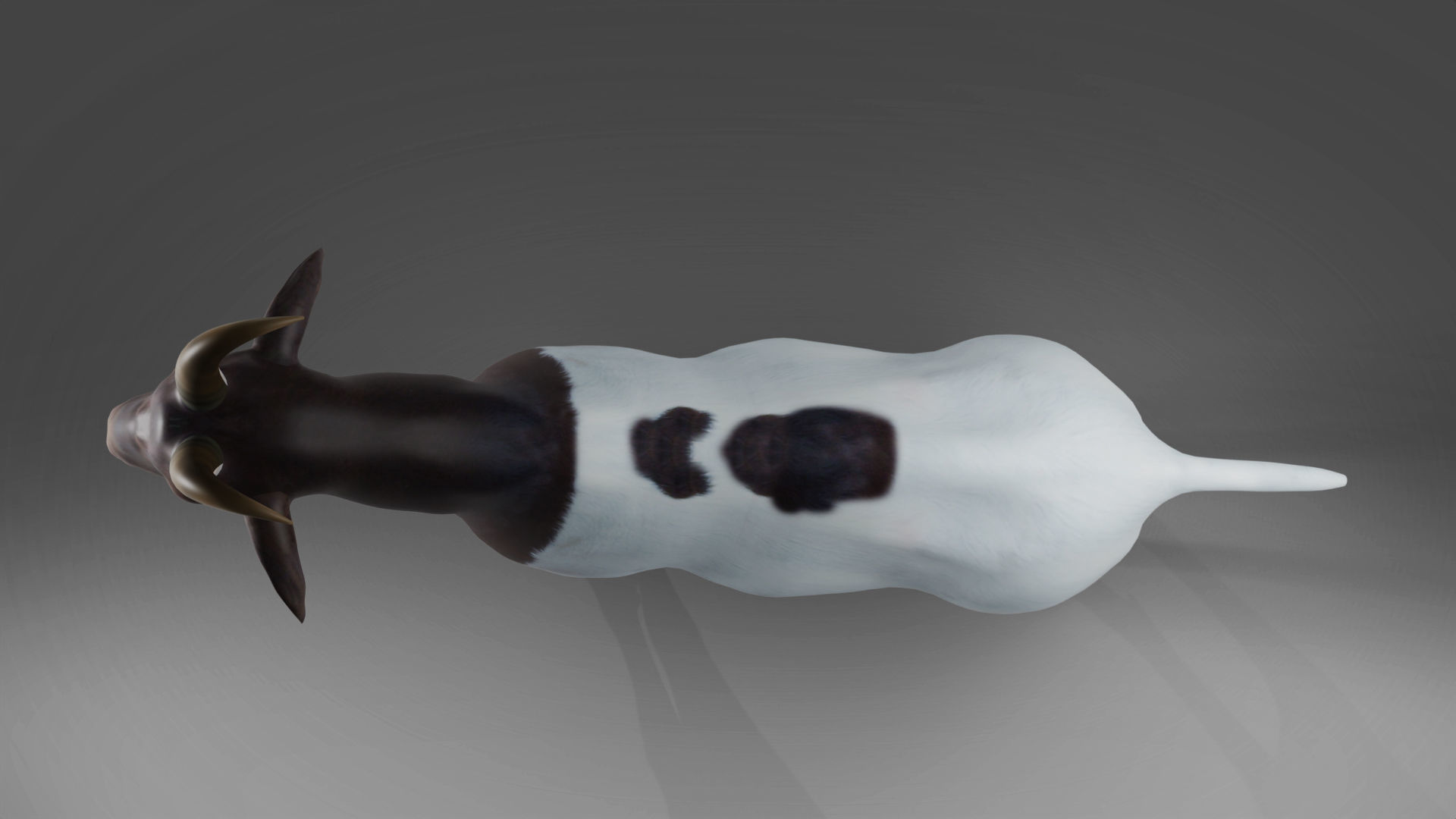 3D Goat 03 Rigged in Blender Low-poly 3D model_6