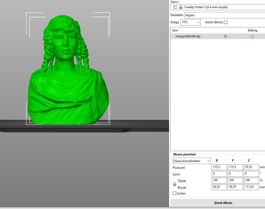 Mary Pickford 3D print model_3