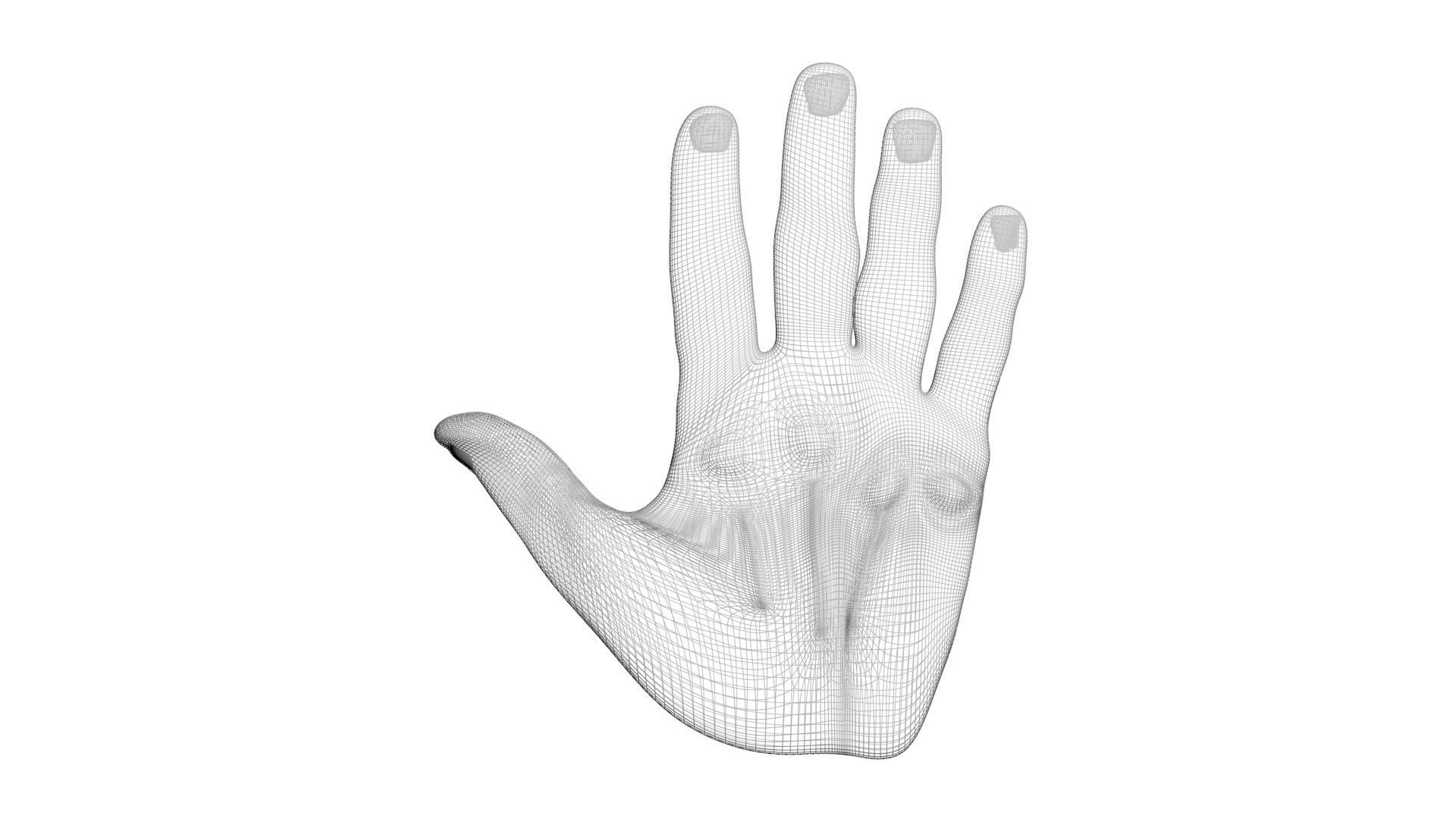 Human Hands 3D model_17