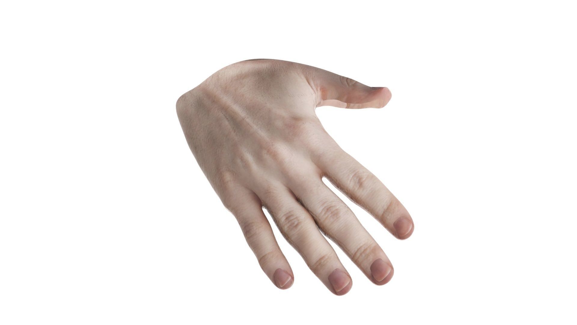 Human Hands 3D model_2