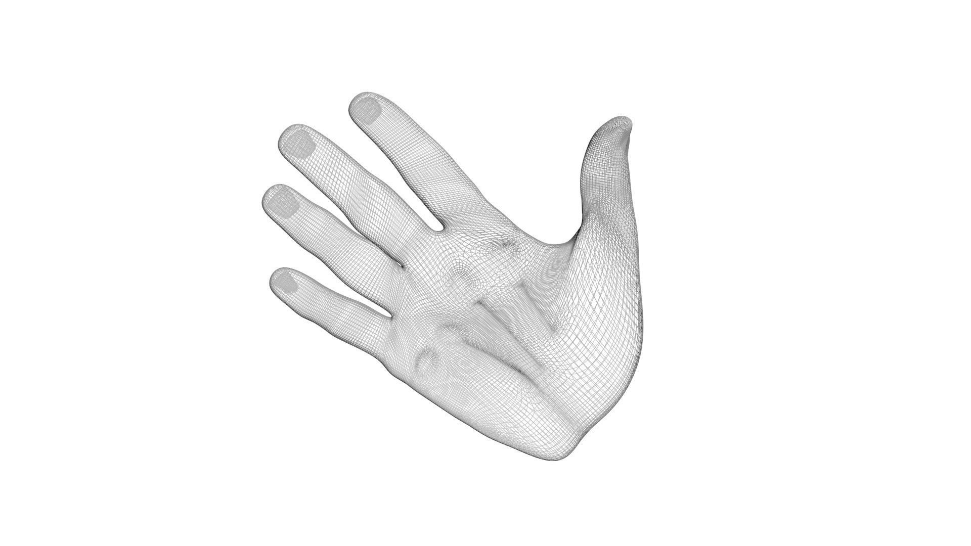 Human Hands 3D model_15