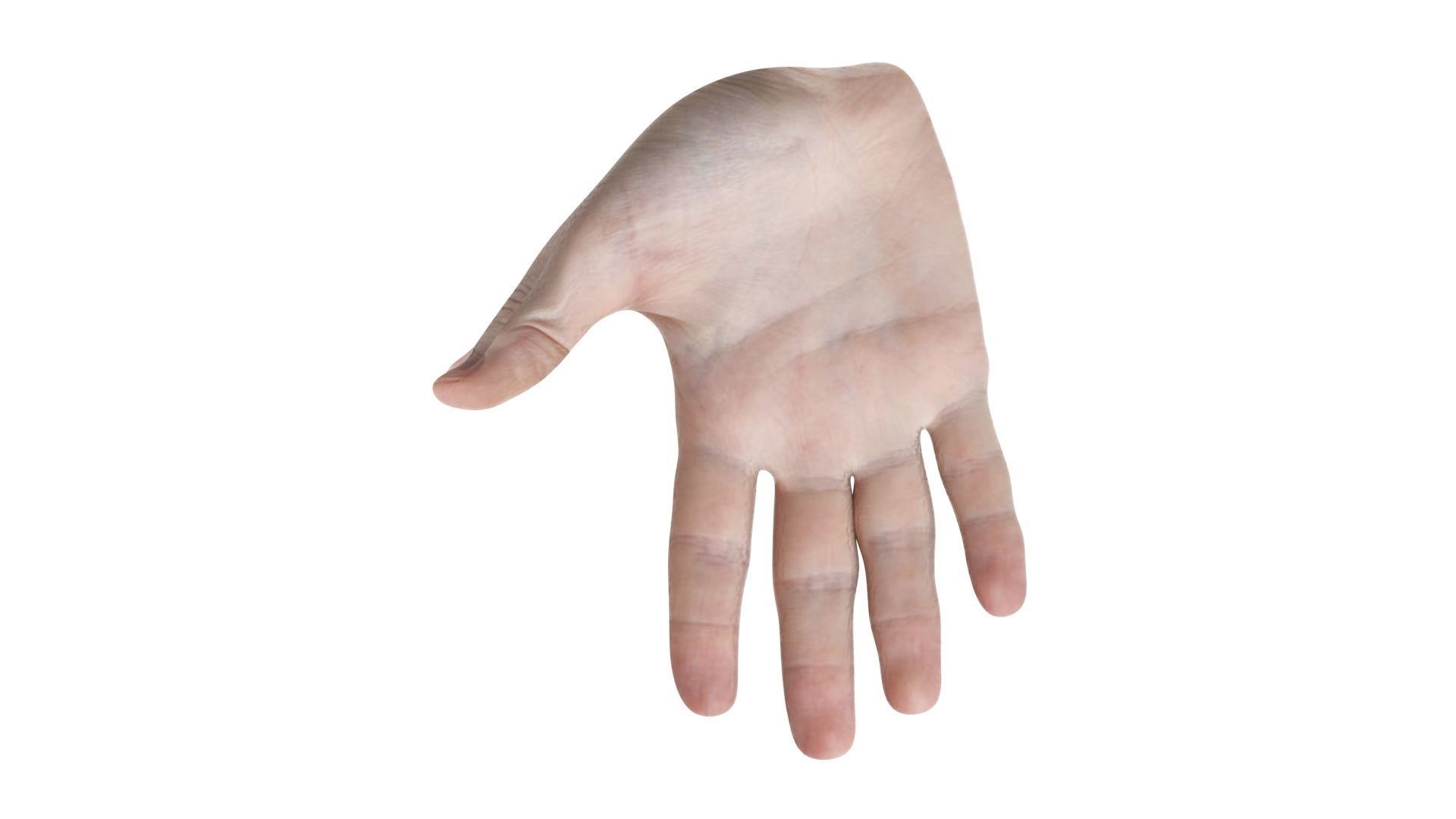 Human Hands 3D model_9