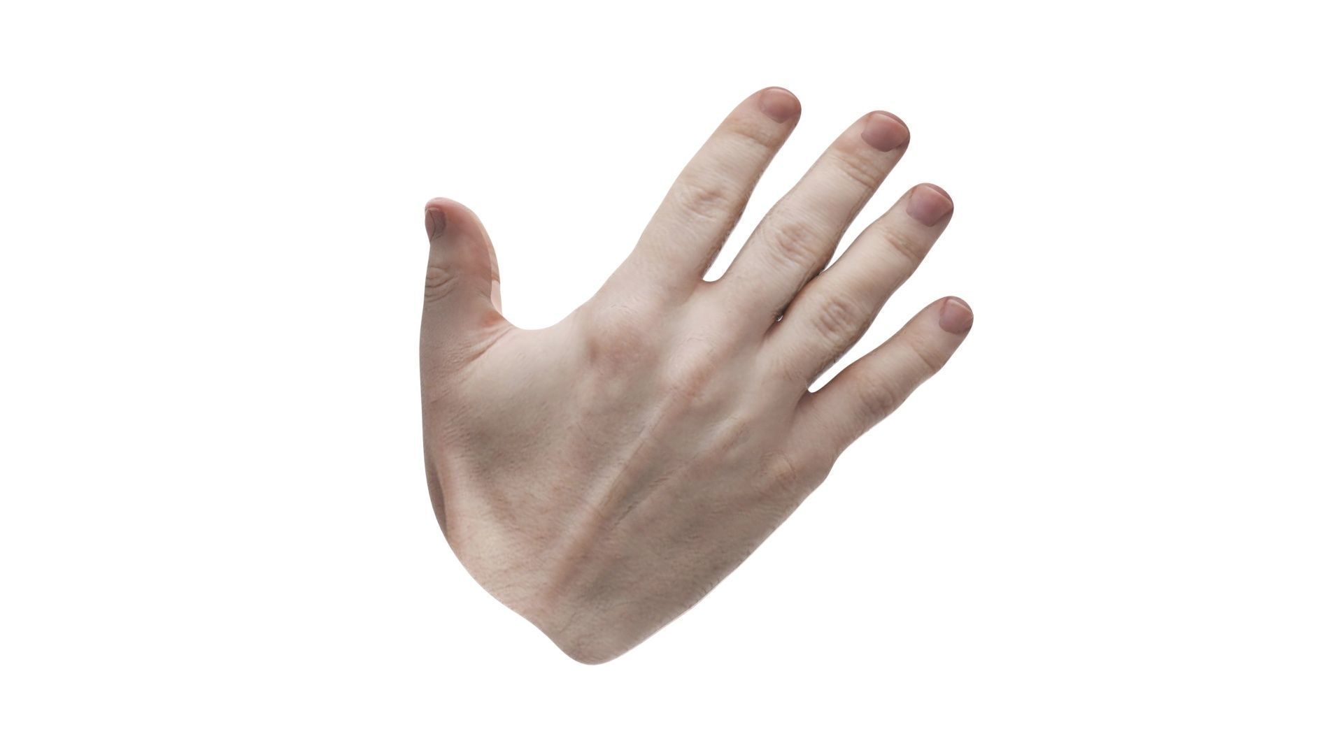 Human Hands 3D model_1