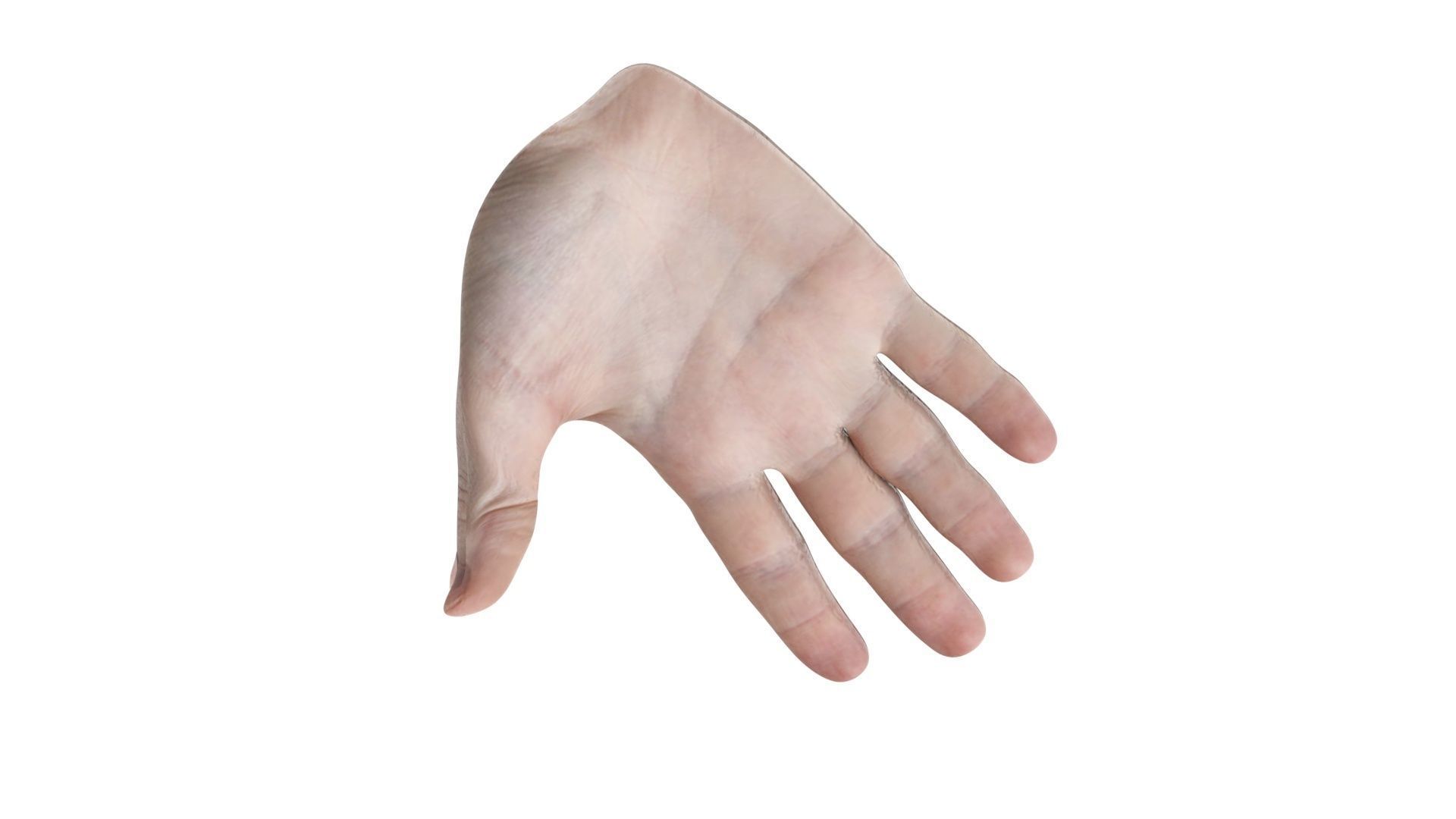 Human Hands 3D model_5