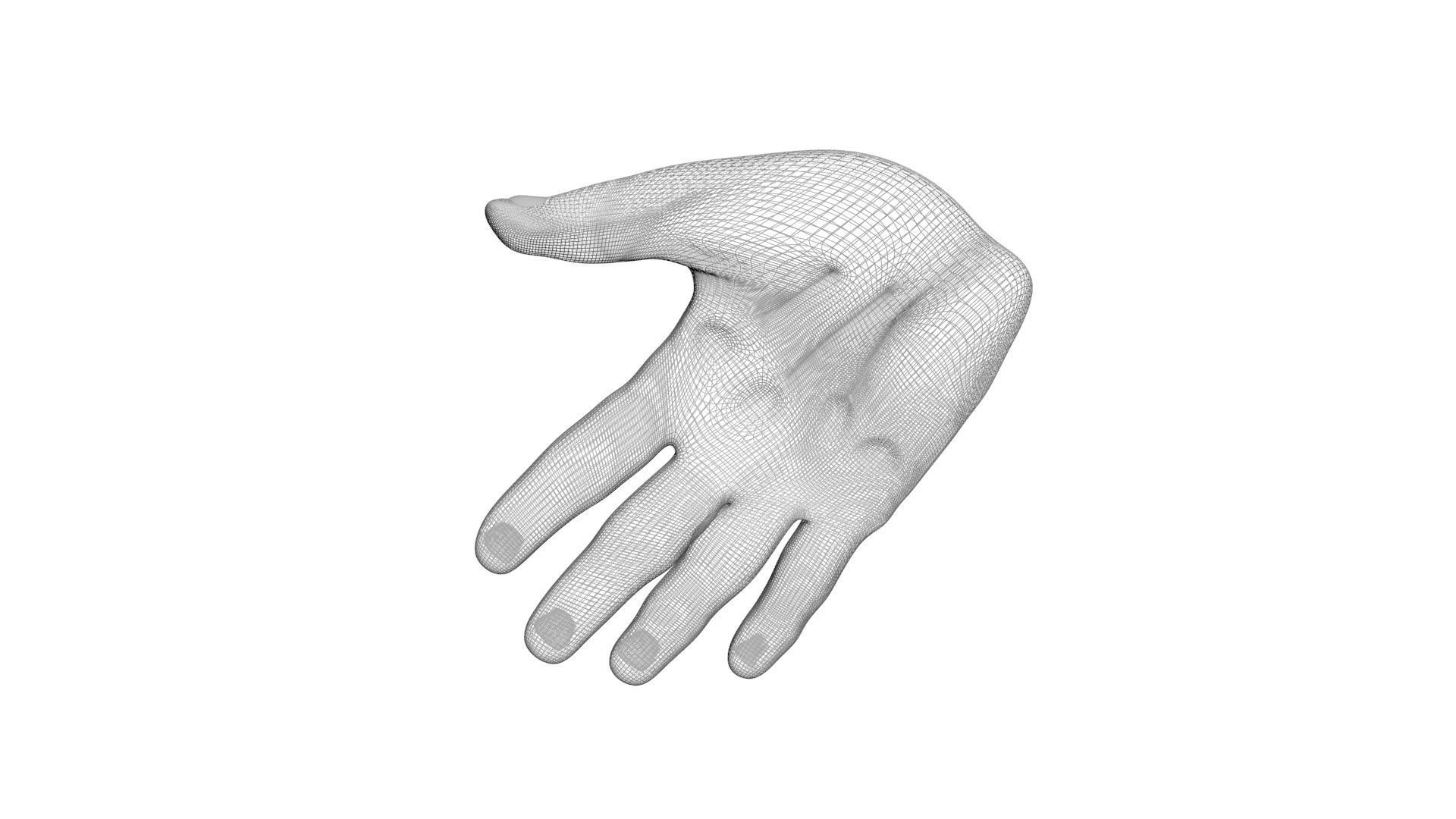 Human Hands 3D model_14