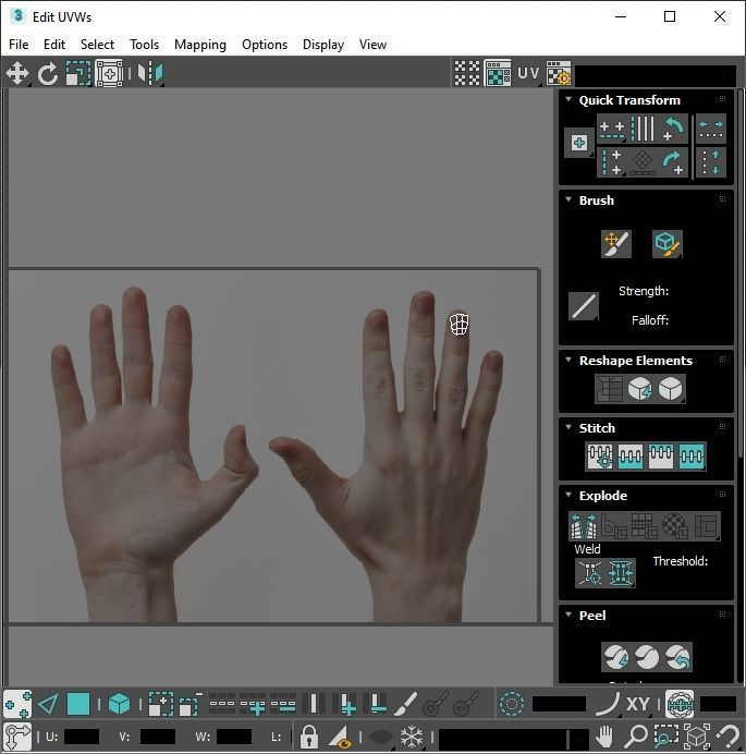 Human Hands 3D model_29