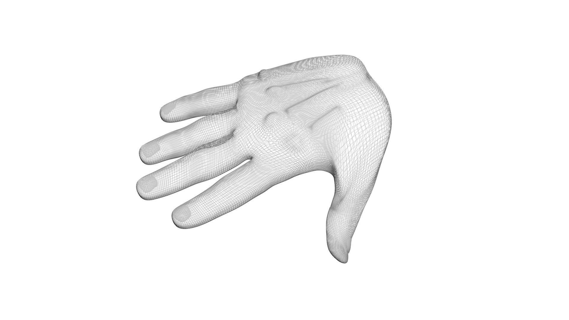 Human Hands 3D model_13