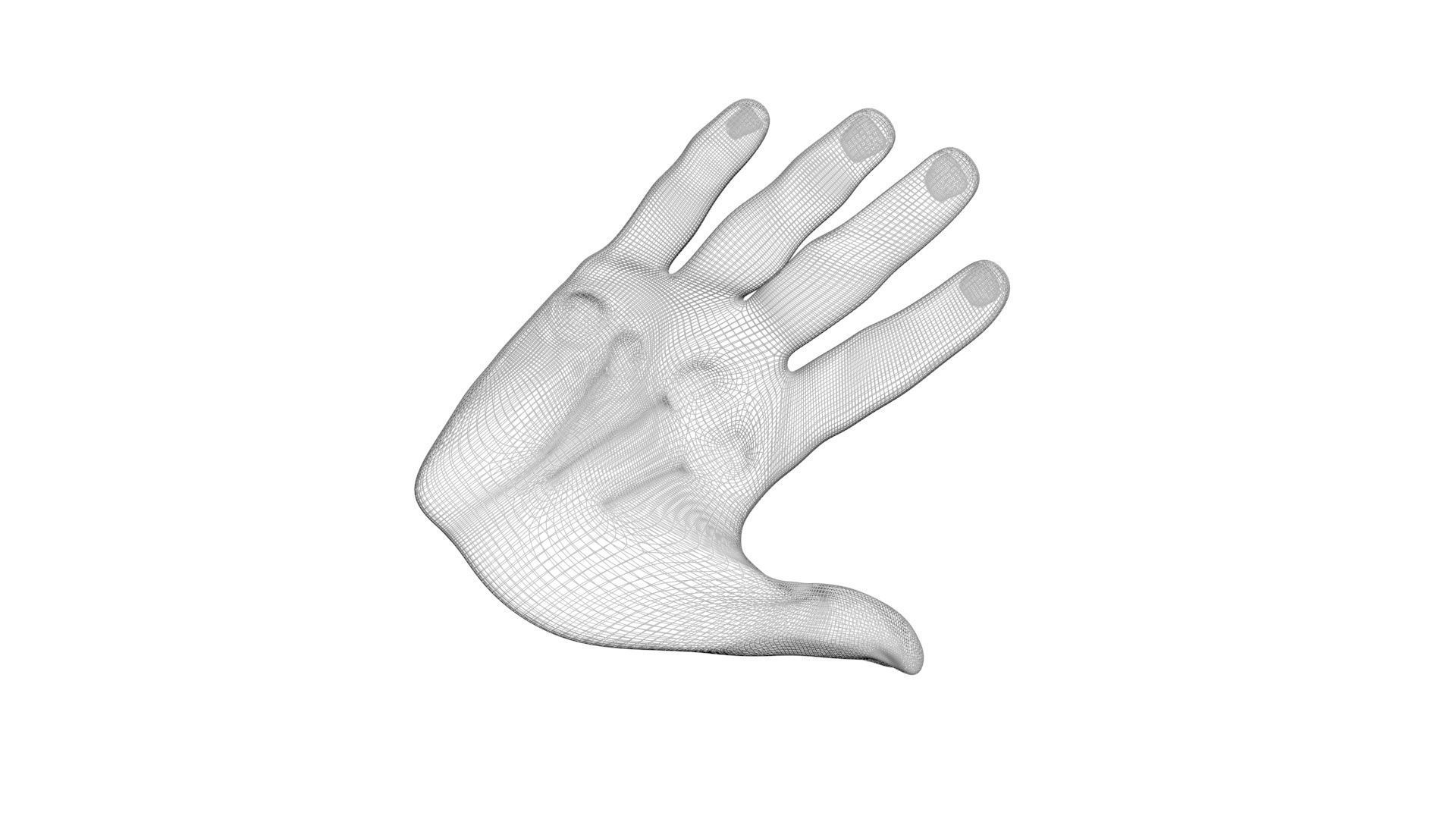 Human Hands 3D model_16