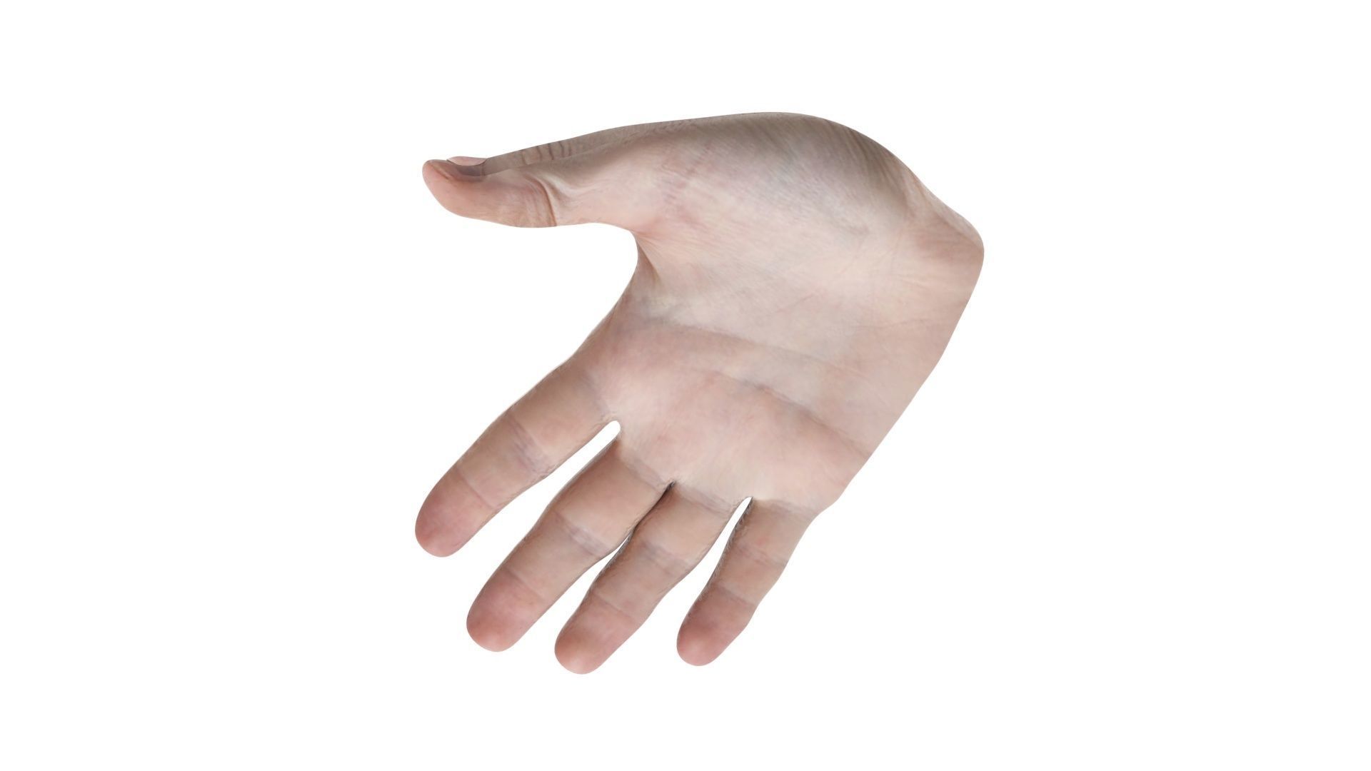 Human Hands 3D model_4