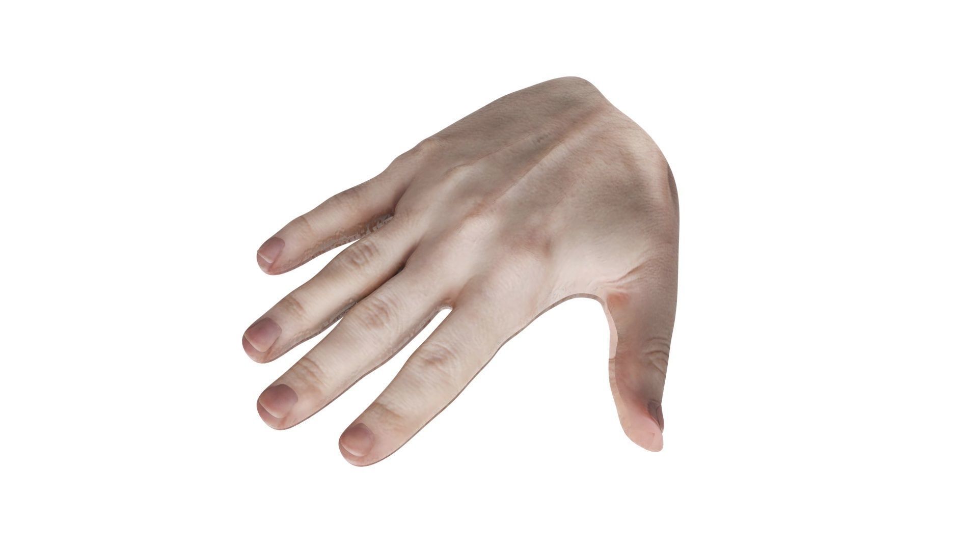 Human Hands 3D model_3