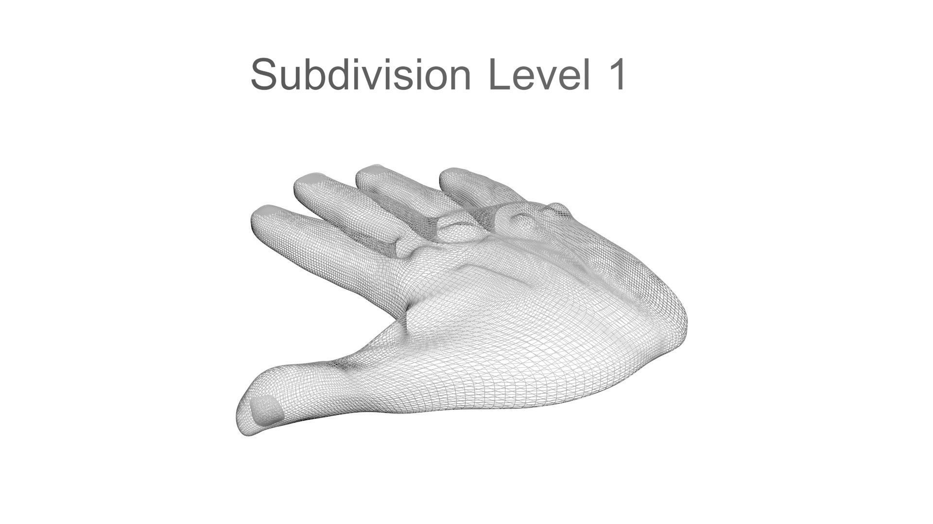 Human Hands 3D model_19