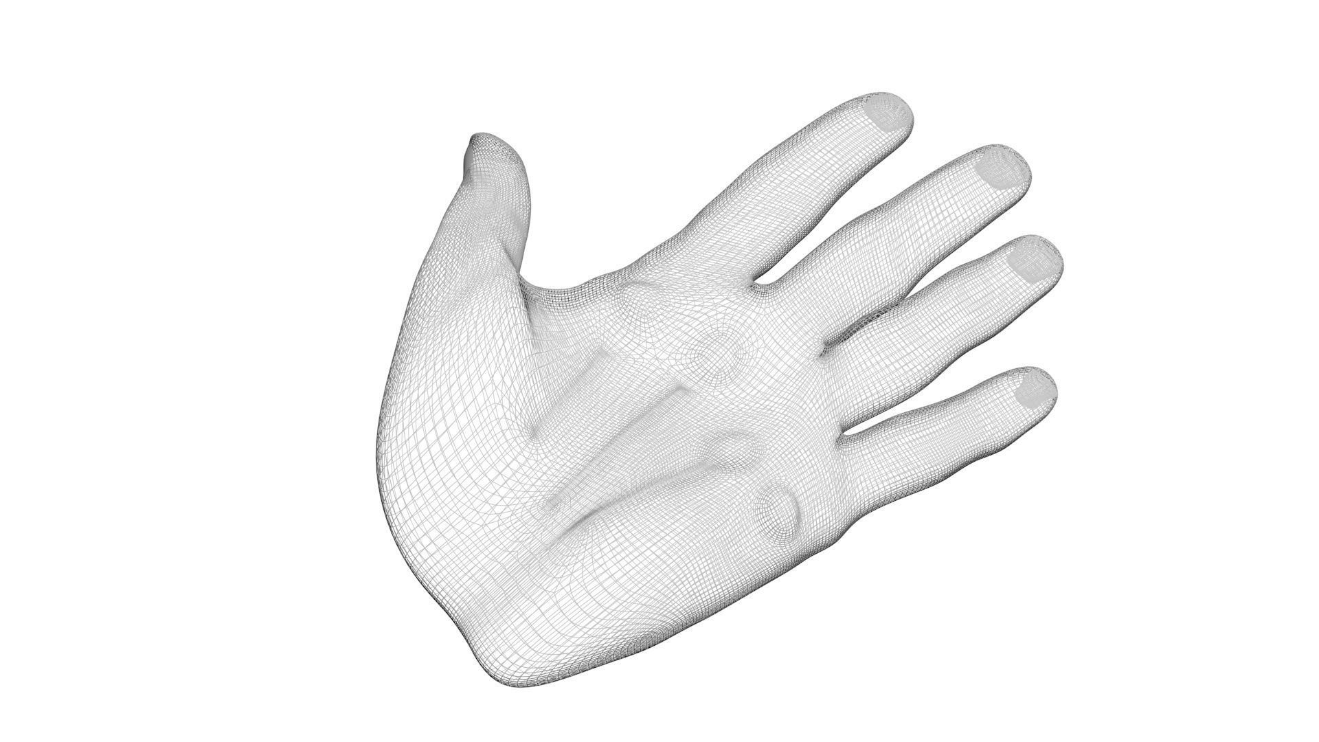 Human Hands 3D model_11