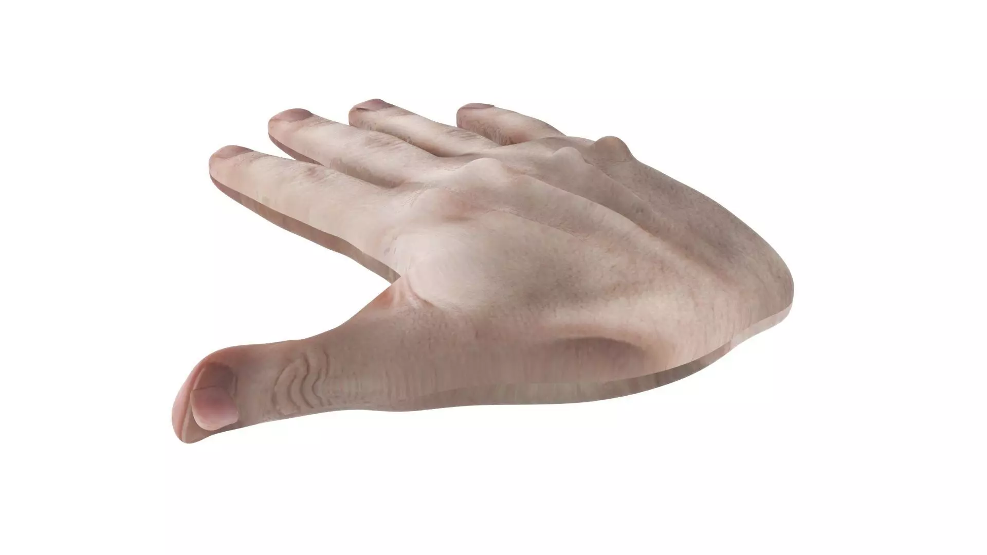 Human Hands 3D model_0