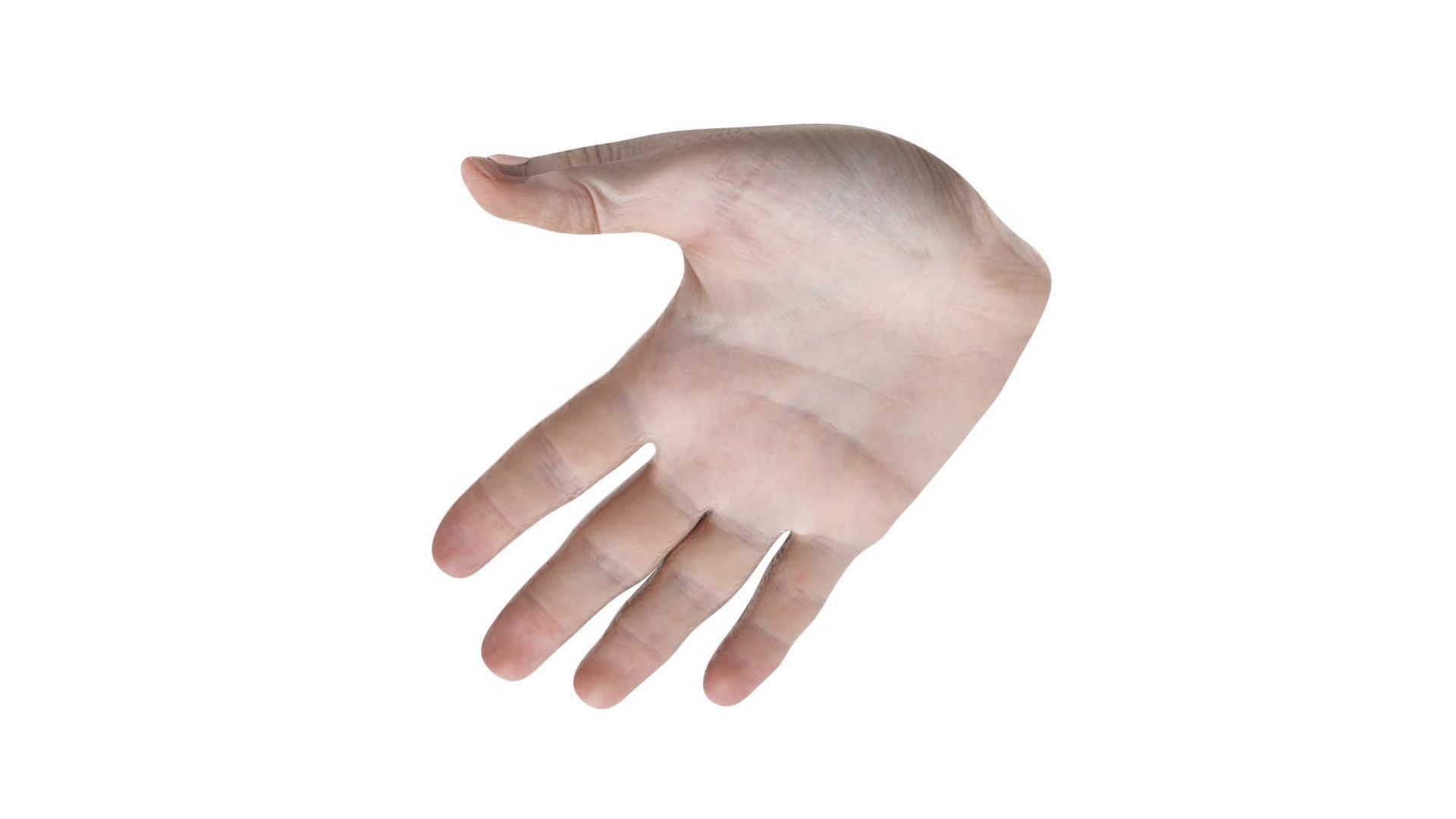 Human Hands 3D model_6