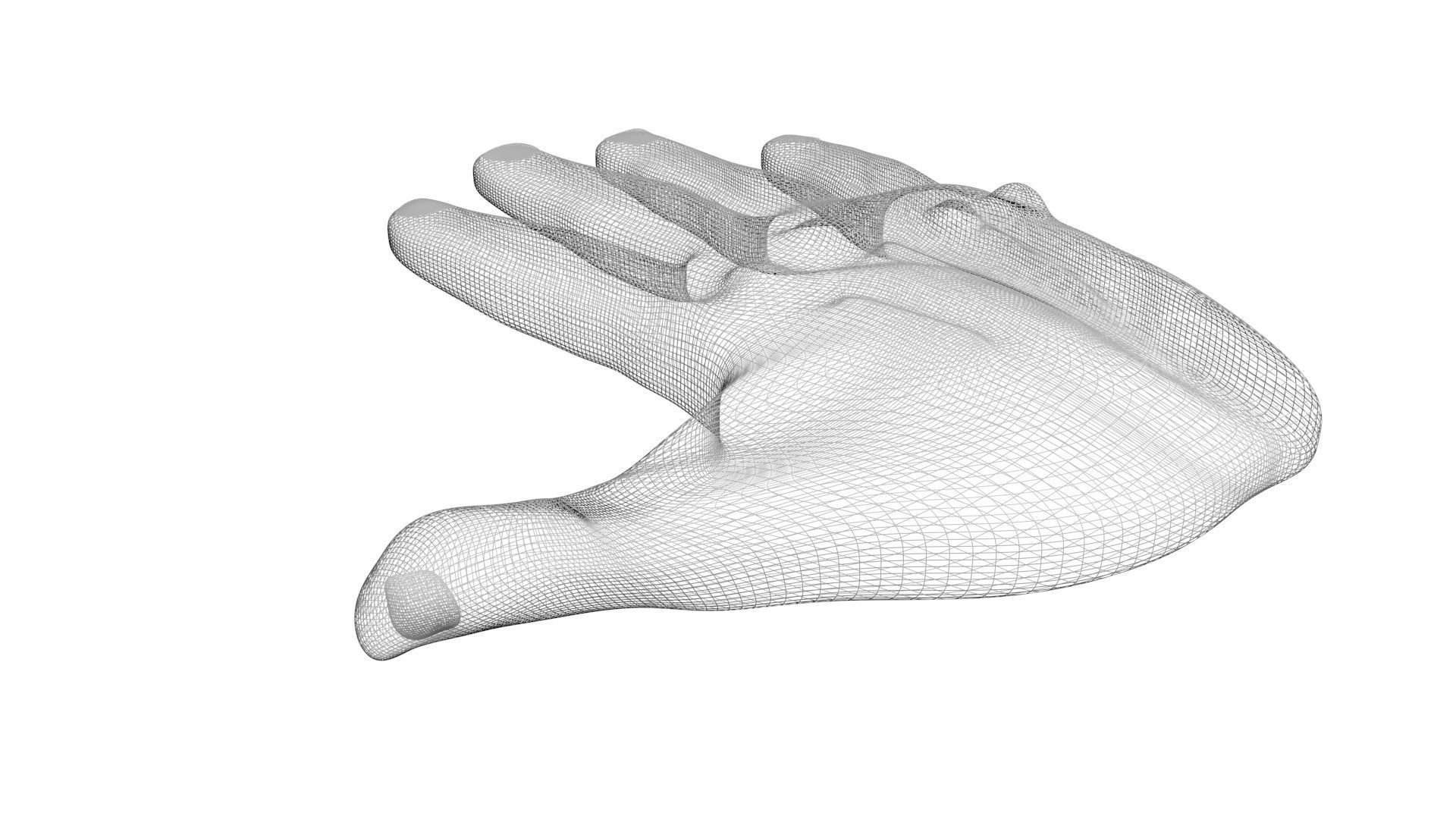 Human Hands 3D model_10
